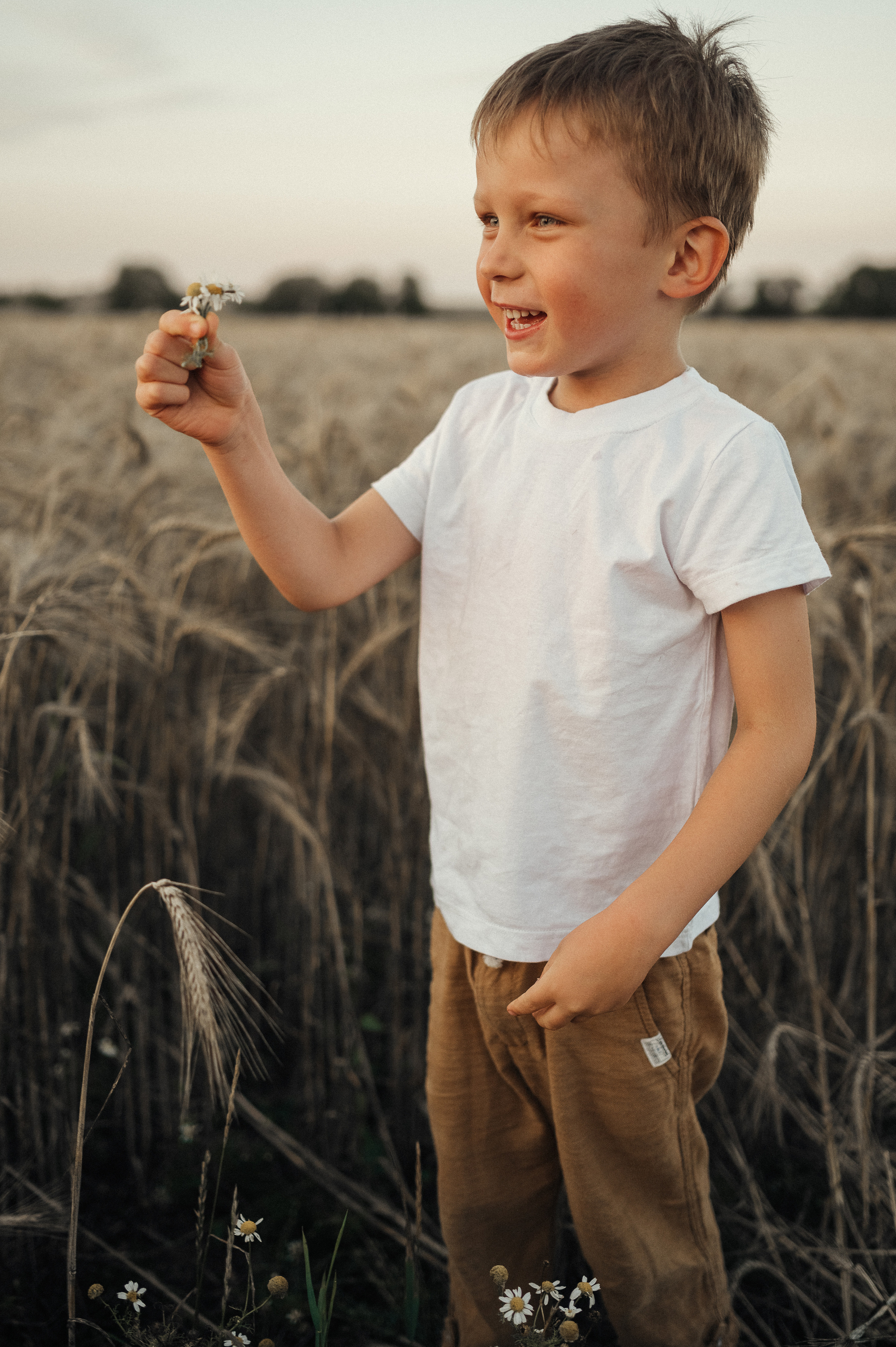 Семейная фотосессия в поле, пшеница. Фотограф и видеограф в Санкт-Петербурге Полина Янушко. Съёмка родов