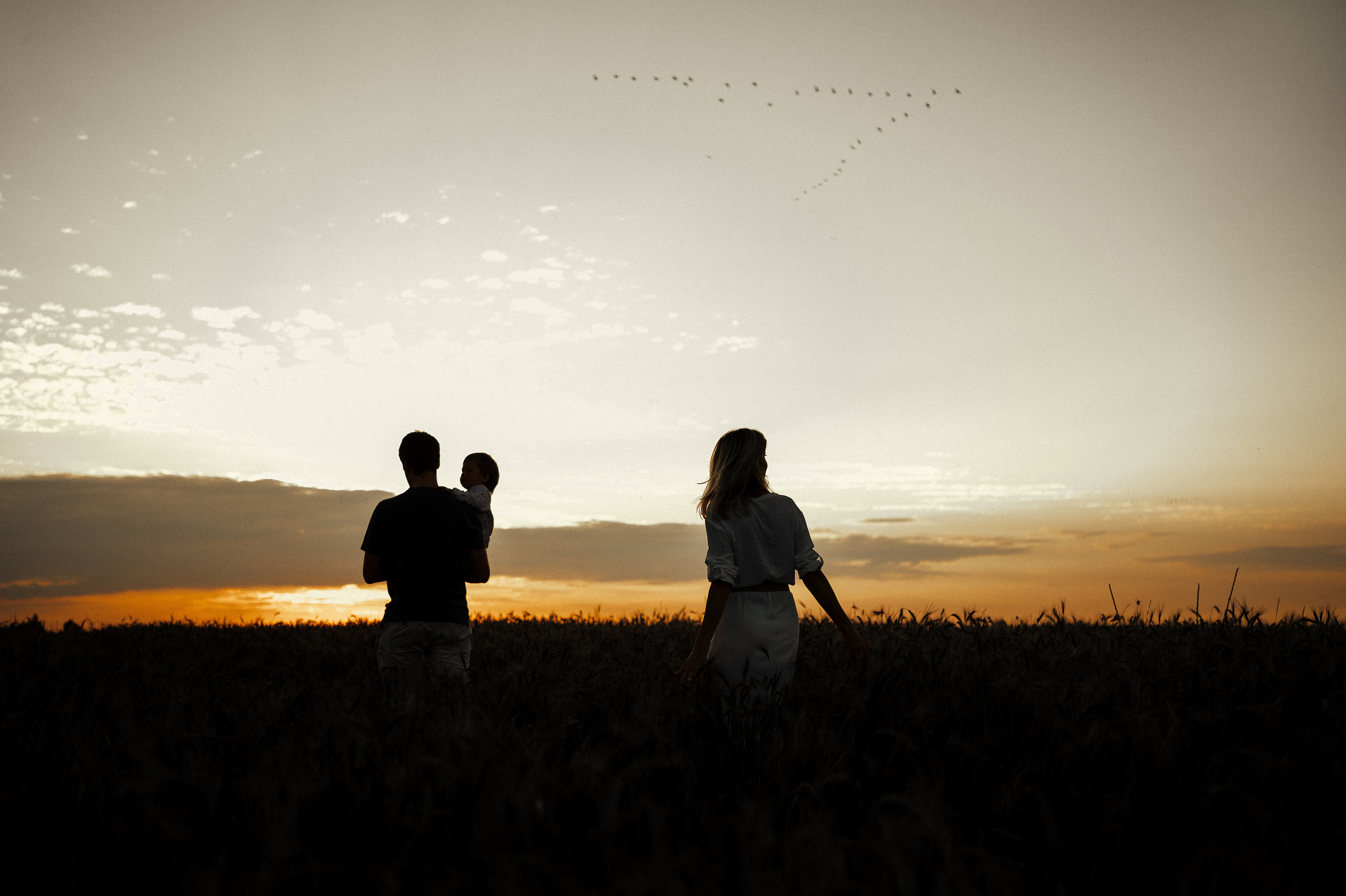 Семейная фотосессия в поле, пшеница. Фотограф и видеограф в Санкт-Петербурге Полина Янушко. Съёмка родов
