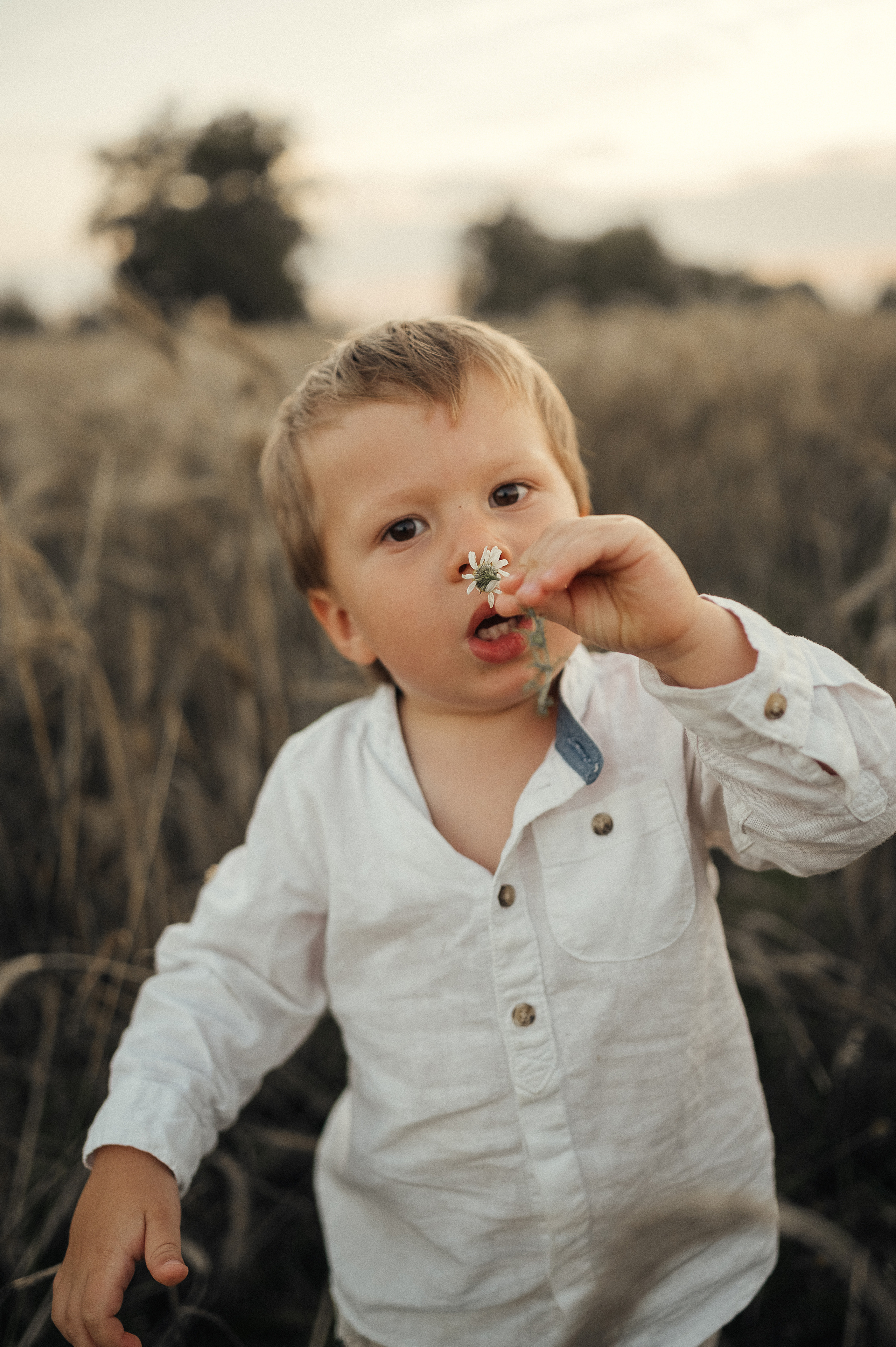 Семейная фотосессия в поле, пшеница. Фотограф и видеограф в Санкт-Петербурге Полина Янушко. Съёмка родов