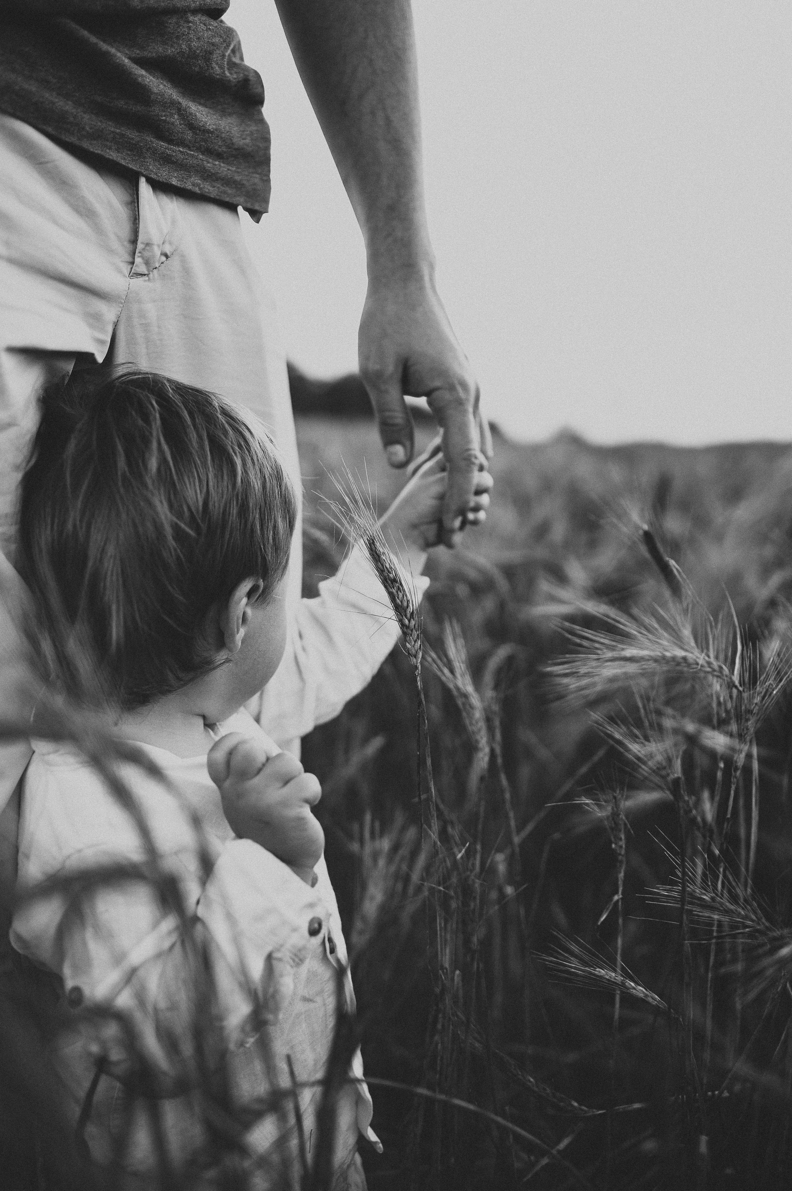 Семейная фотосессия в поле, пшеница. Фотограф и видеограф в Санкт-Петербурге Полина Янушко. Съёмка родов