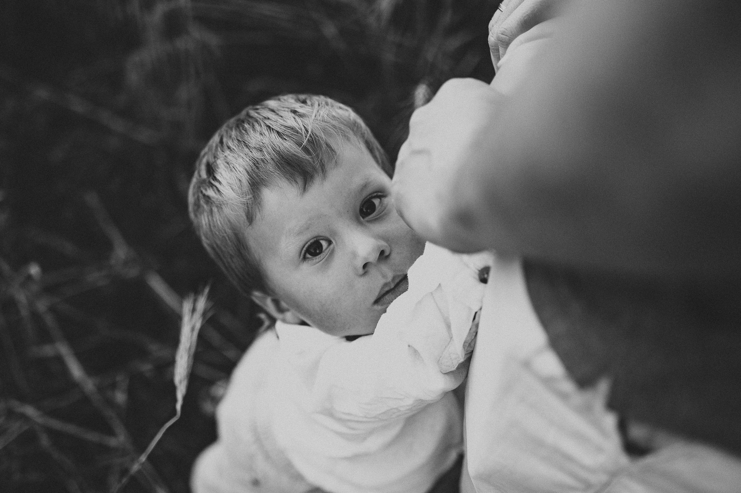 Семейная фотосессия в поле, пшеница. Фотограф и видеограф в Санкт-Петербурге Полина Янушко. Съёмка родов