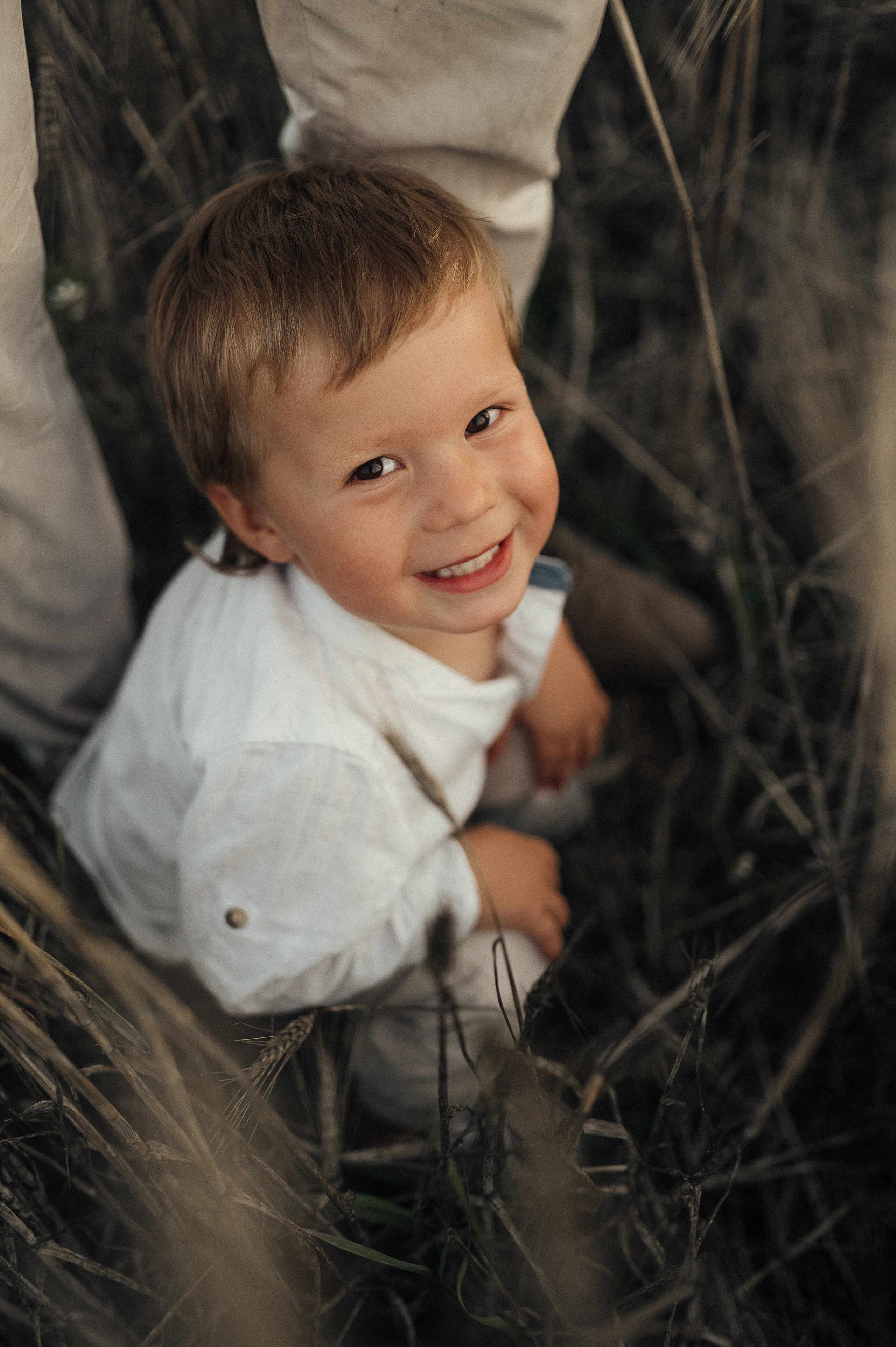 Семейная фотосессия в поле, пшеница. Фотограф и видеограф в Санкт-Петербурге Полина Янушко. Съёмка родов