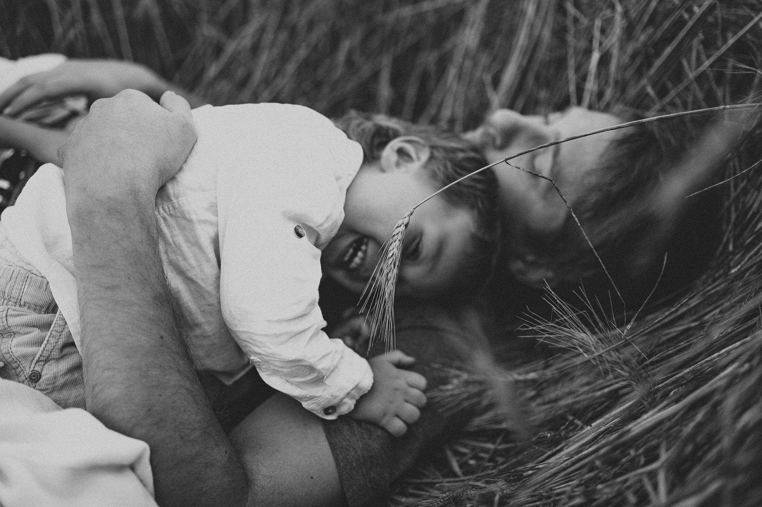 Семейная фотосессия в поле, пшеница. Фотограф и видеограф в Санкт-Петербурге Полина Янушко. Съёмка родов