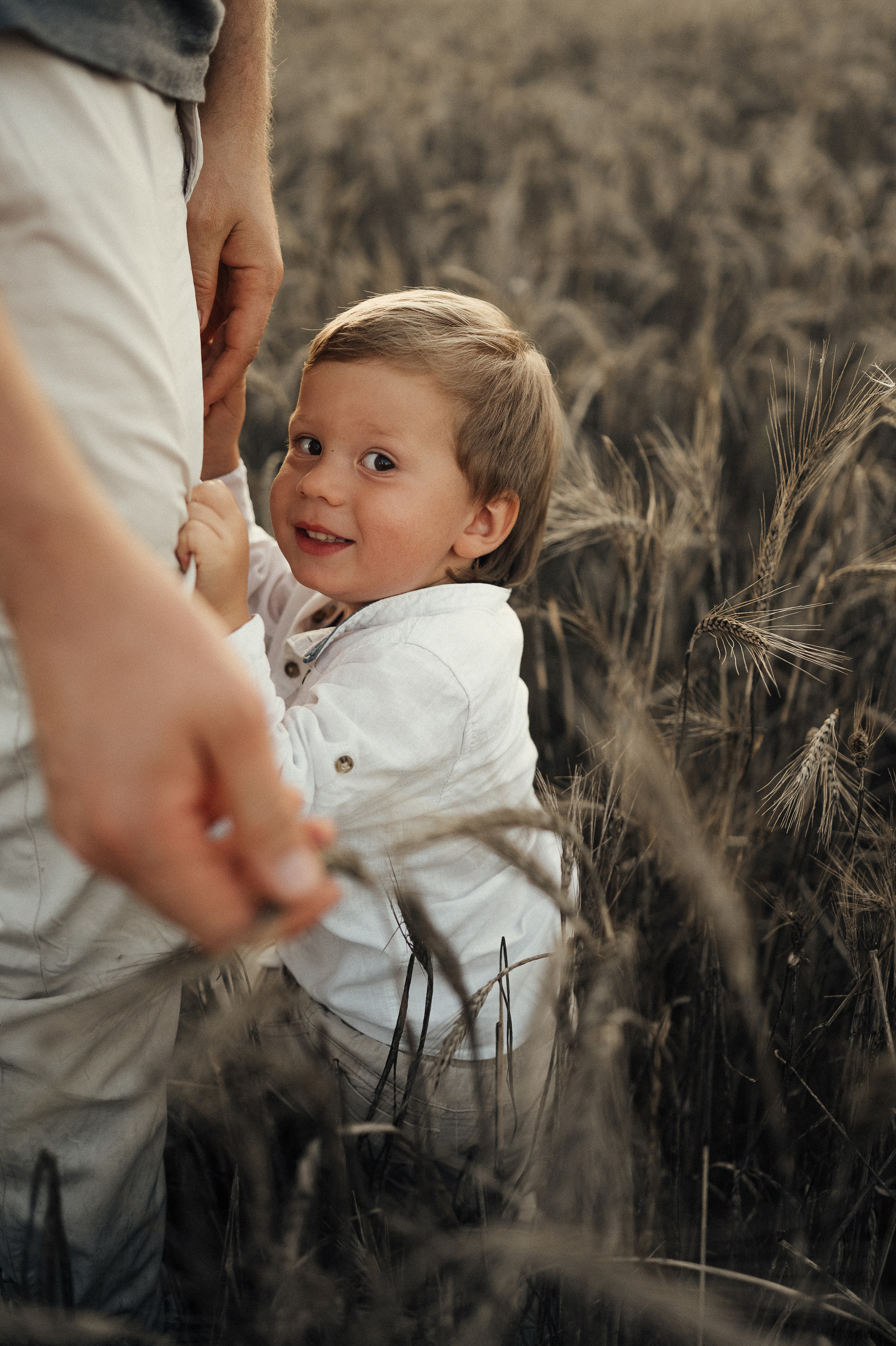 Семейная фотосессия в поле, пшеница. Фотограф и видеограф в Санкт-Петербурге Полина Янушко. Съёмка родов