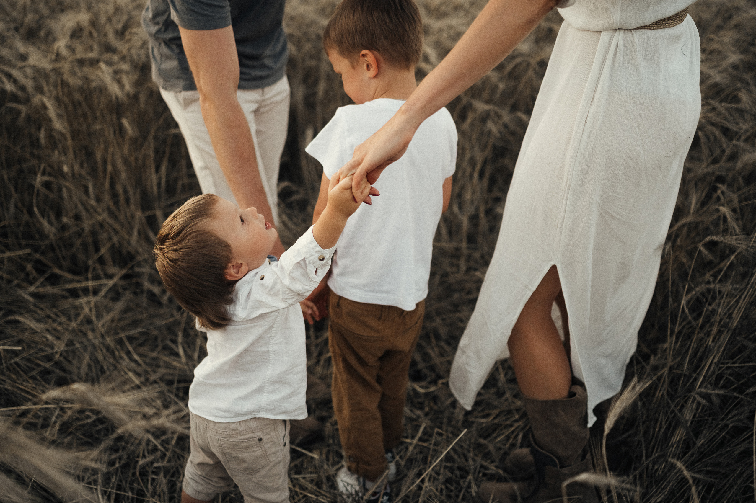 Семейная фотосессия в поле, пшеница. Фотограф и видеограф в Санкт-Петербурге Полина Янушко. Съёмка родов