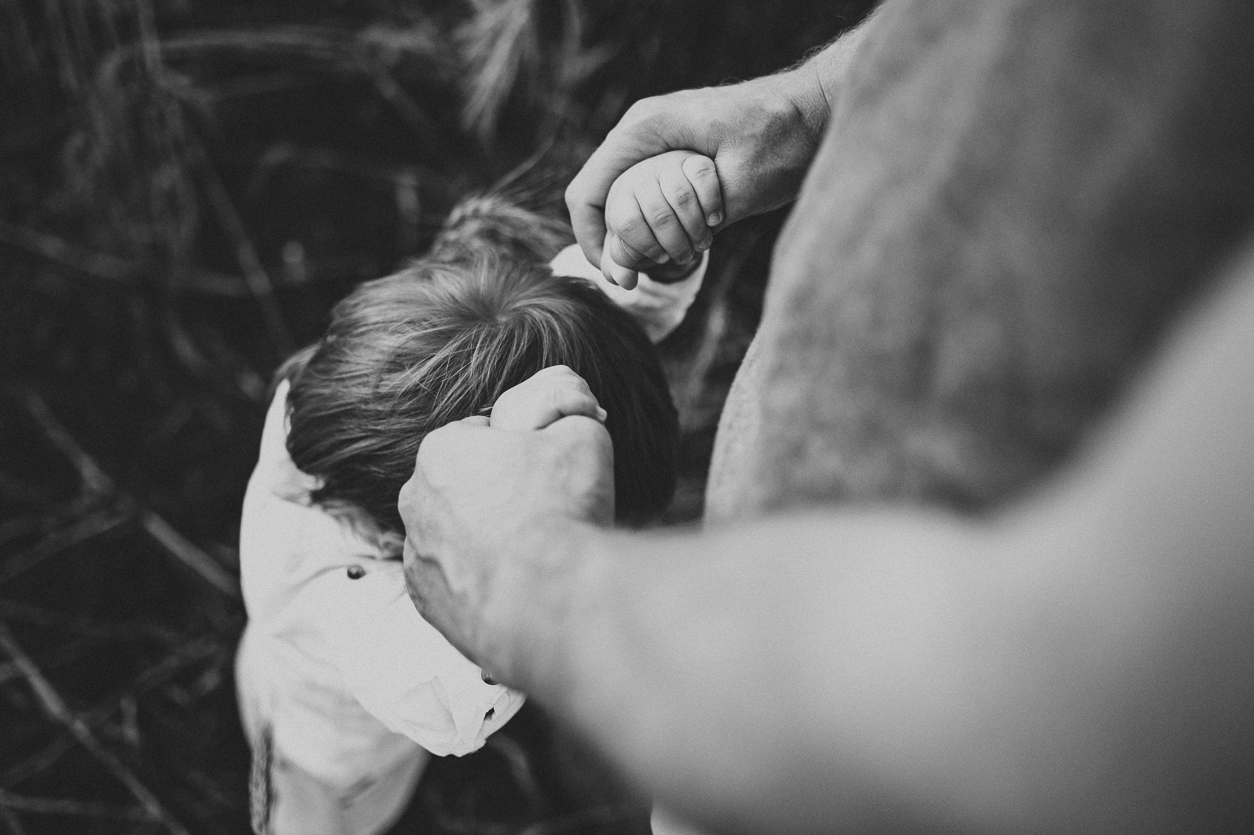 Семейная фотосессия в поле, пшеница. Фотограф и видеограф в Санкт-Петербурге Полина Янушко. Съёмка родов
