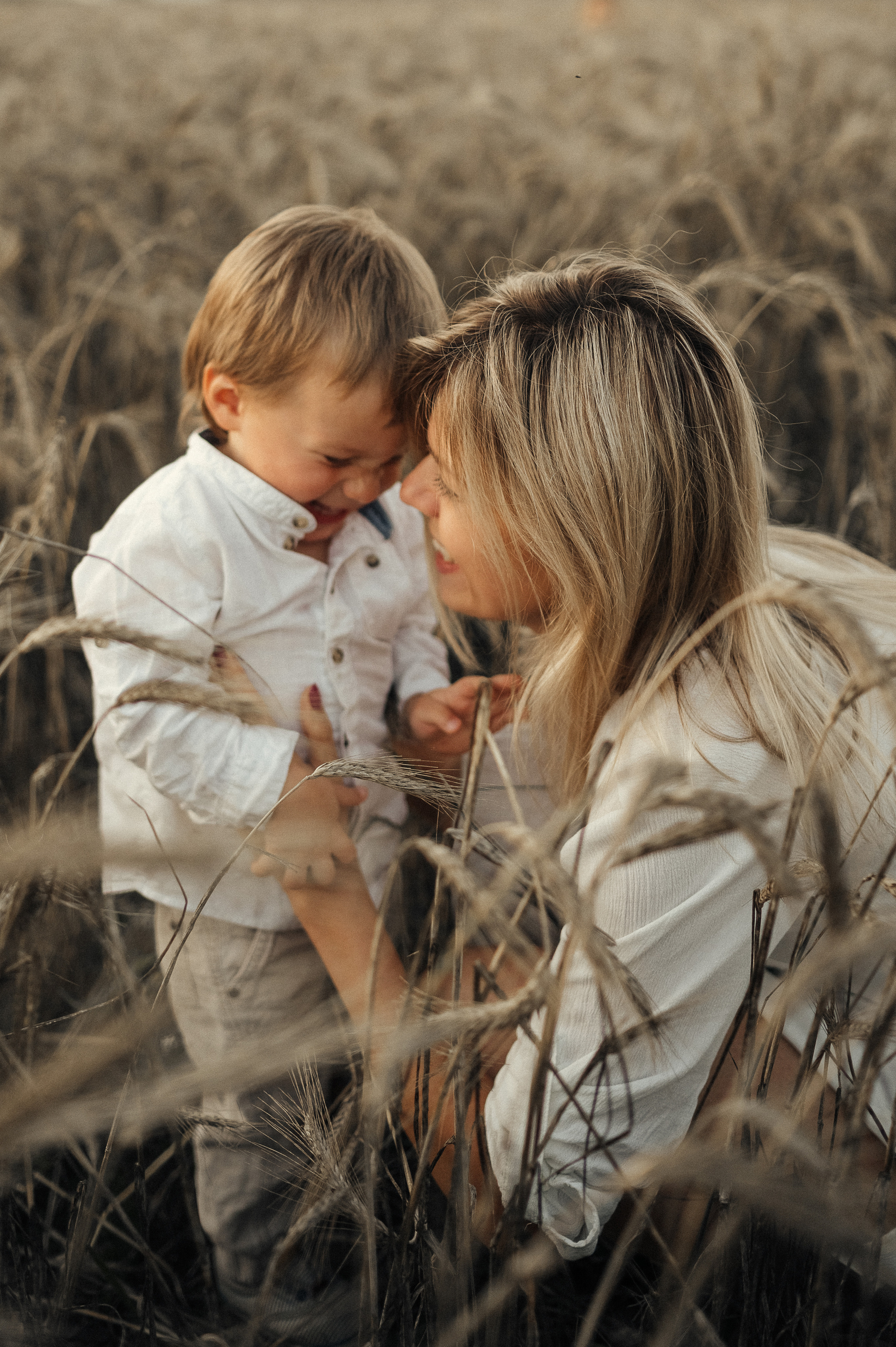 Семейная фотосессия в поле, пшеница. Фотограф и видеограф в Санкт-Петербурге Полина Янушко. Съёмка родов