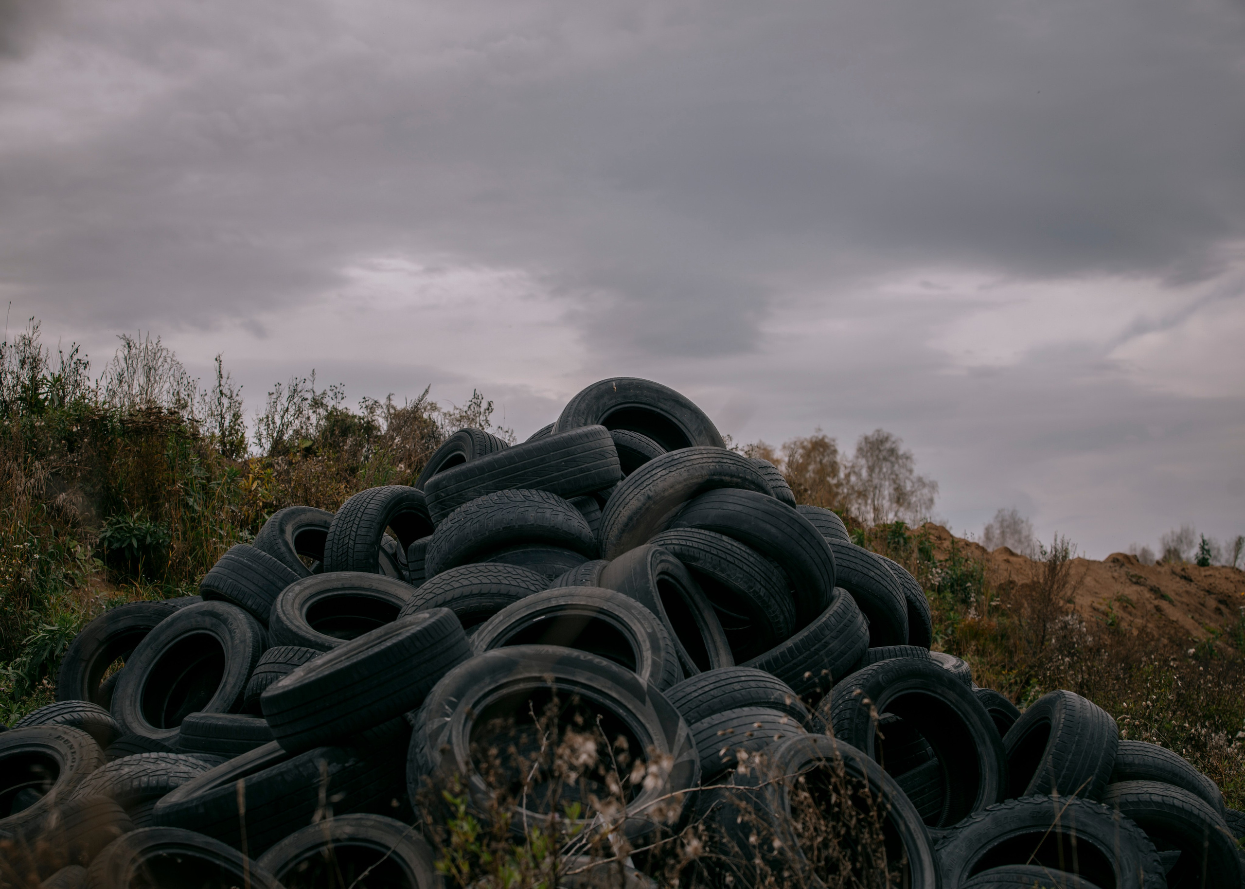 Квалификационные испытания. Сдача на шеврон «Боевая Единица». Портретный фотограф в Москве Дарья Цезария