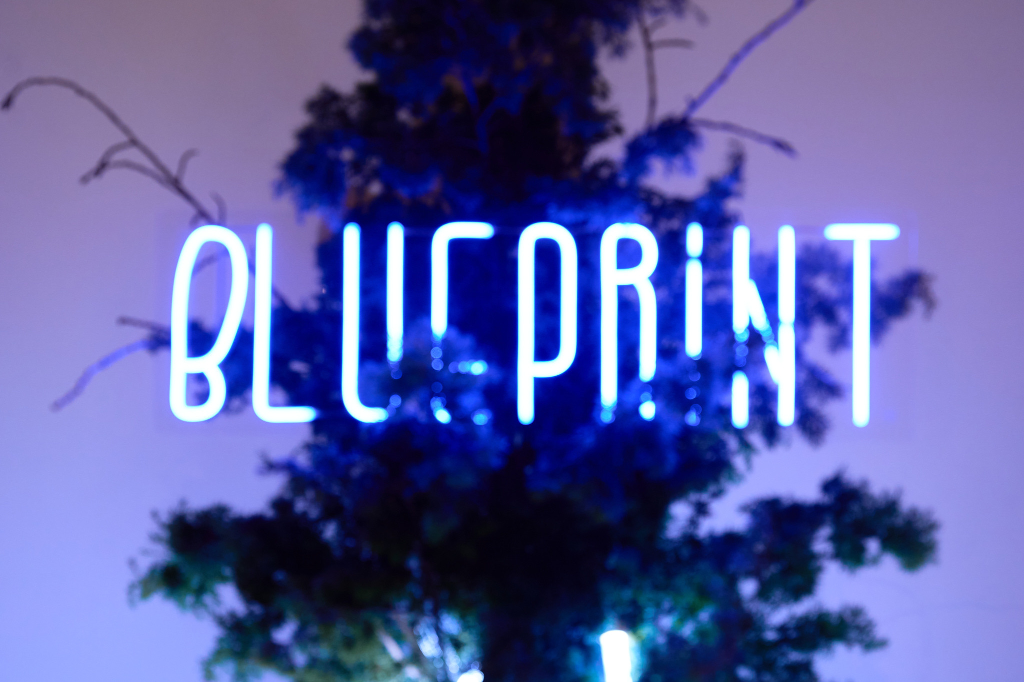 THE BLUE PRINT 100. Портретный и репортажный фотограф в Москве Острикова Анастасия