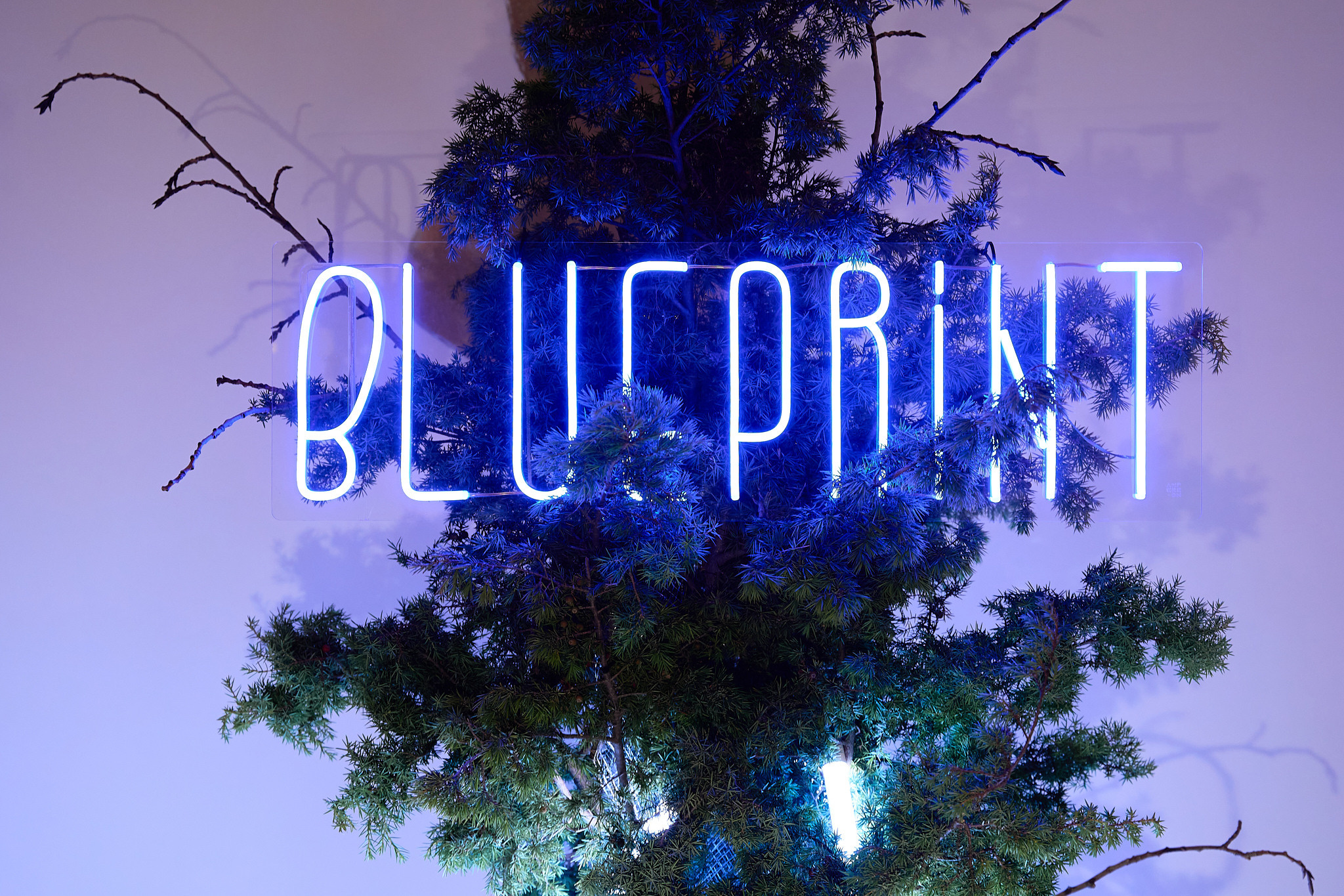 THE BLUE PRINT 100. Портретный и репортажный фотограф в Москве Острикова Анастасия