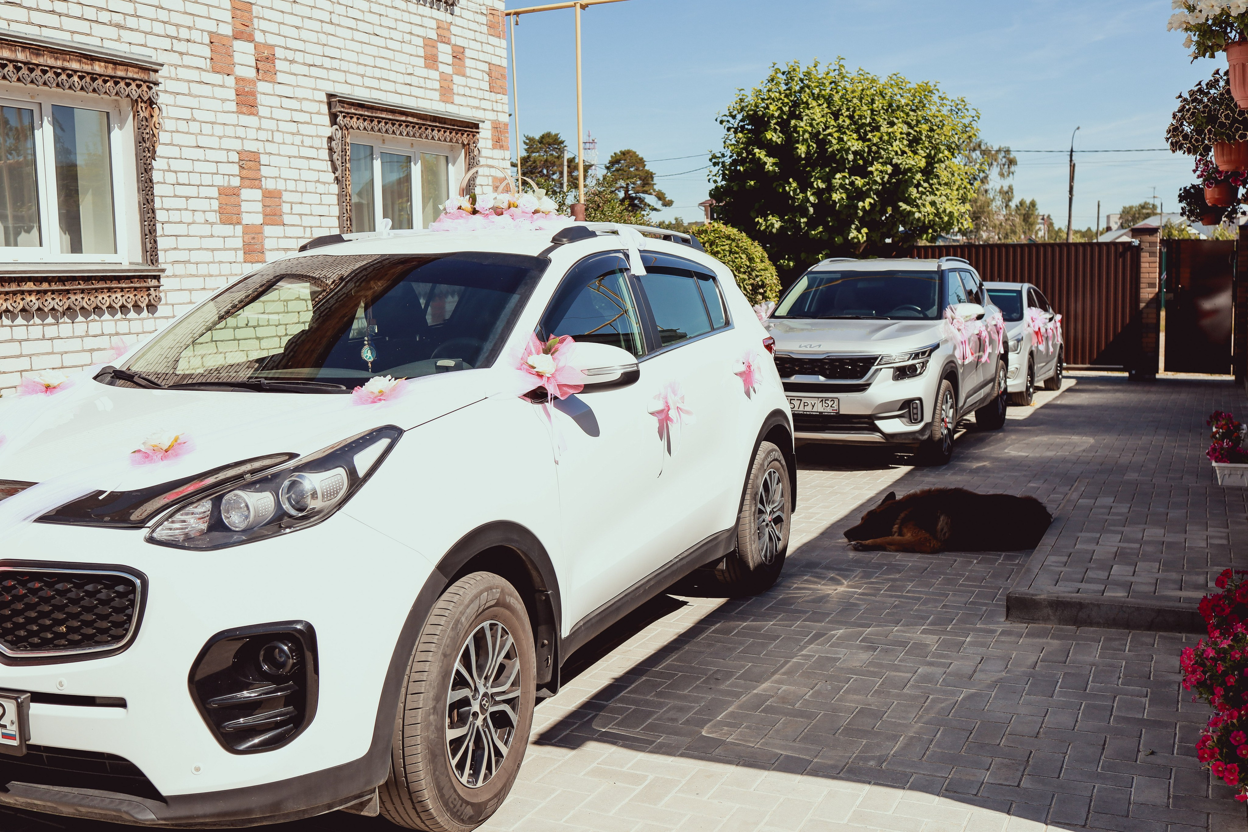 Данил и Настя. Семейный и свадебный фотограф Екатерина Михайлова