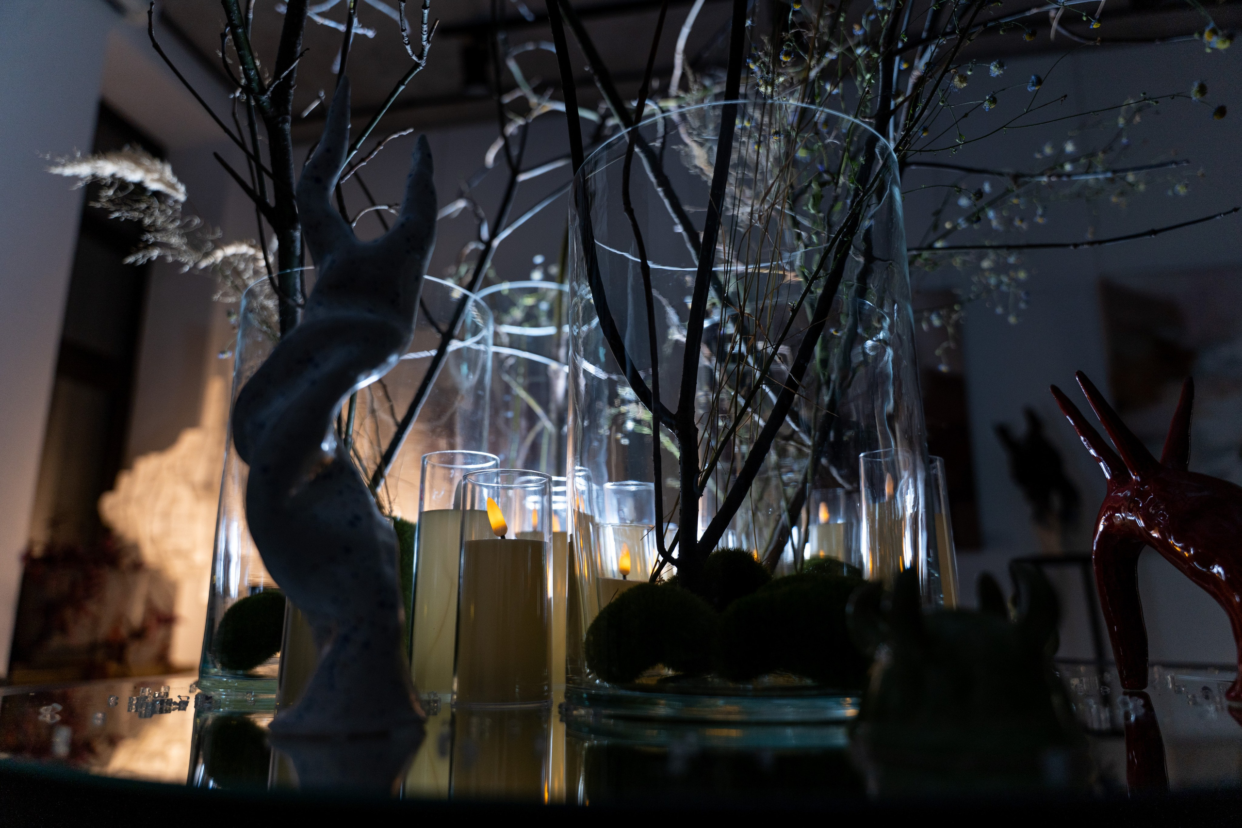 ЛЕС Авторский проект Юлии Якубович 04.11.2025. Портретный и репортажный фотограф в Москве Разуменко Роман