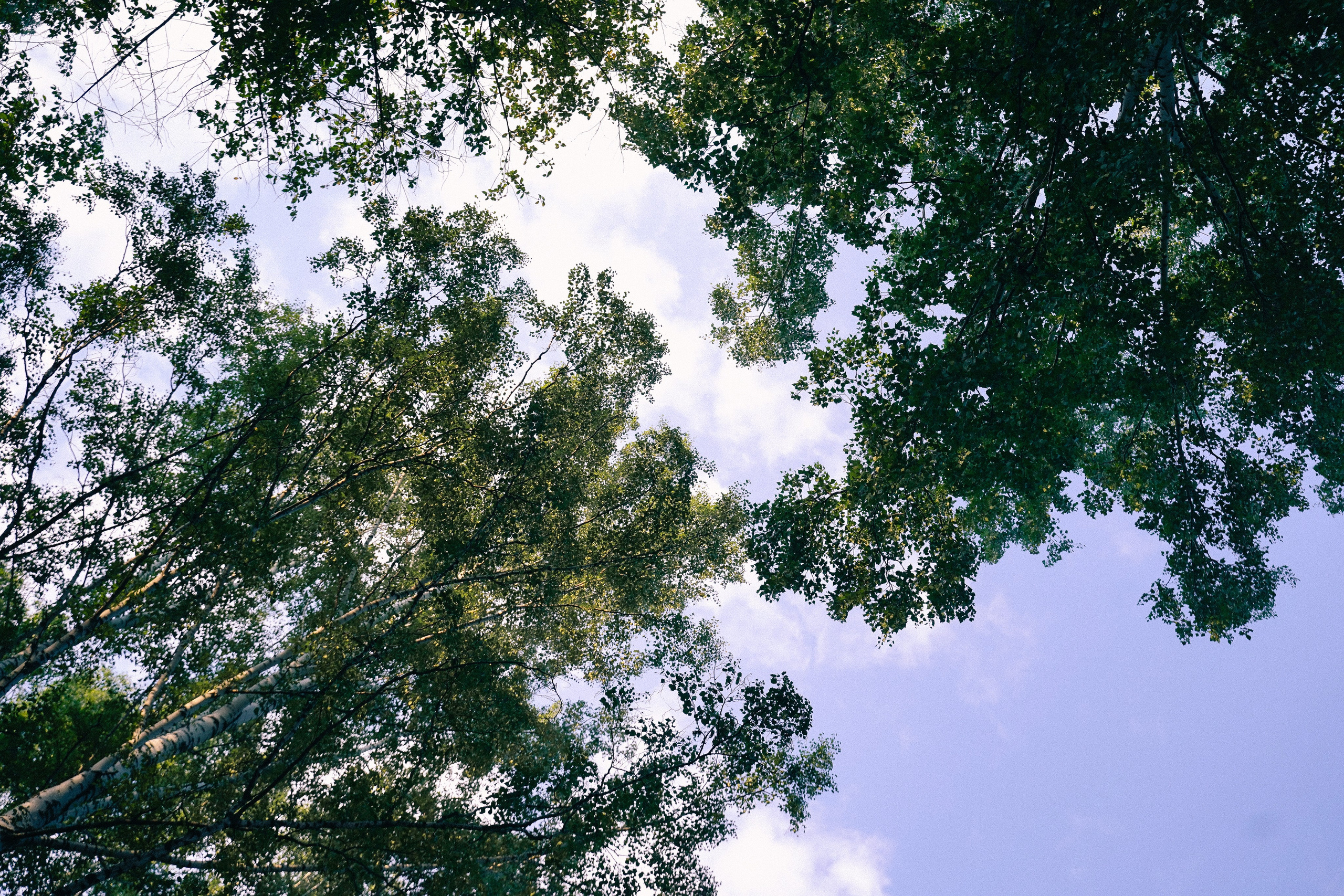 Алиса. Репортажный фотограф Даниил Коваленко