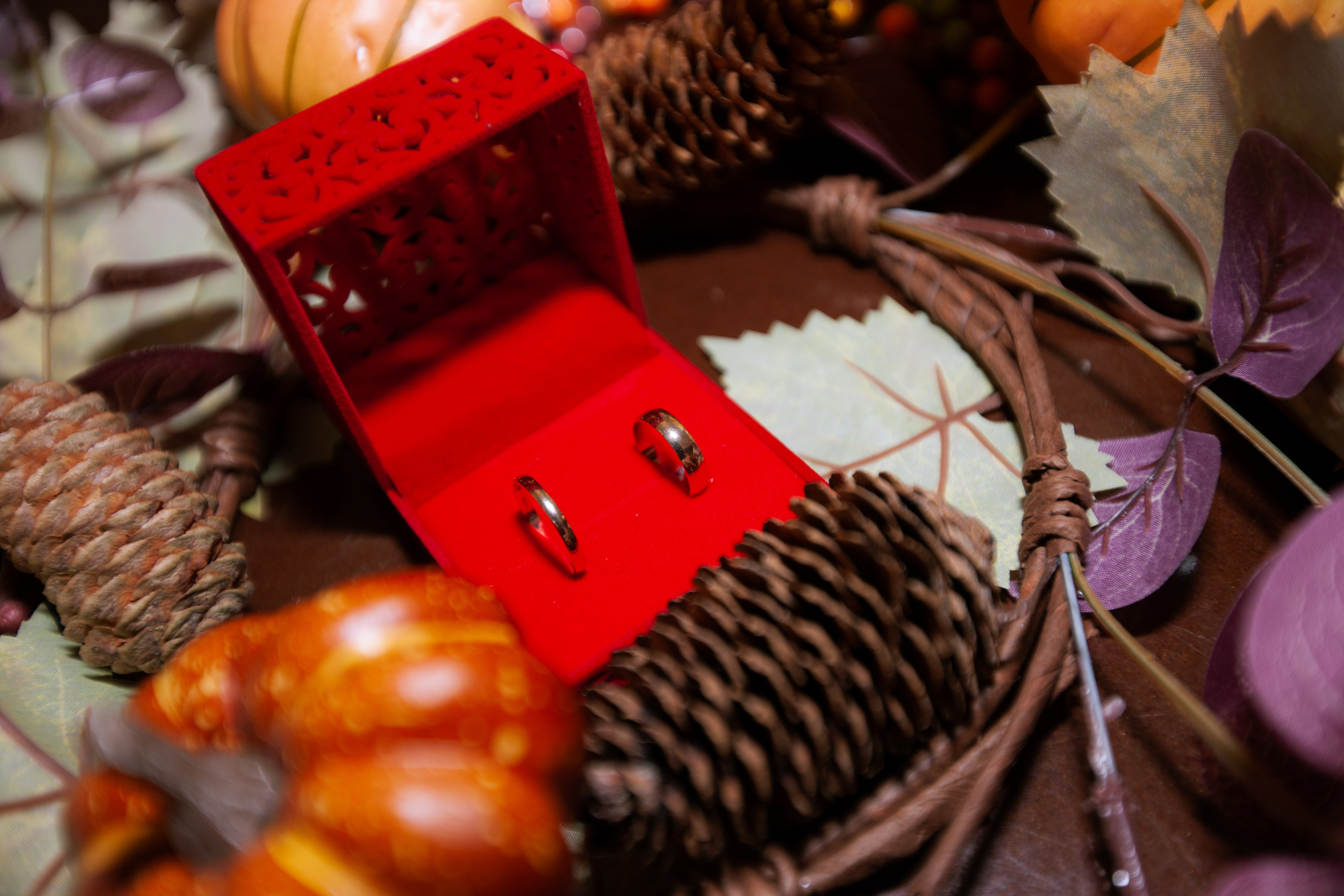 Golden hour. Фотограф Елизавета Маслова. Москва. Art, Fashion