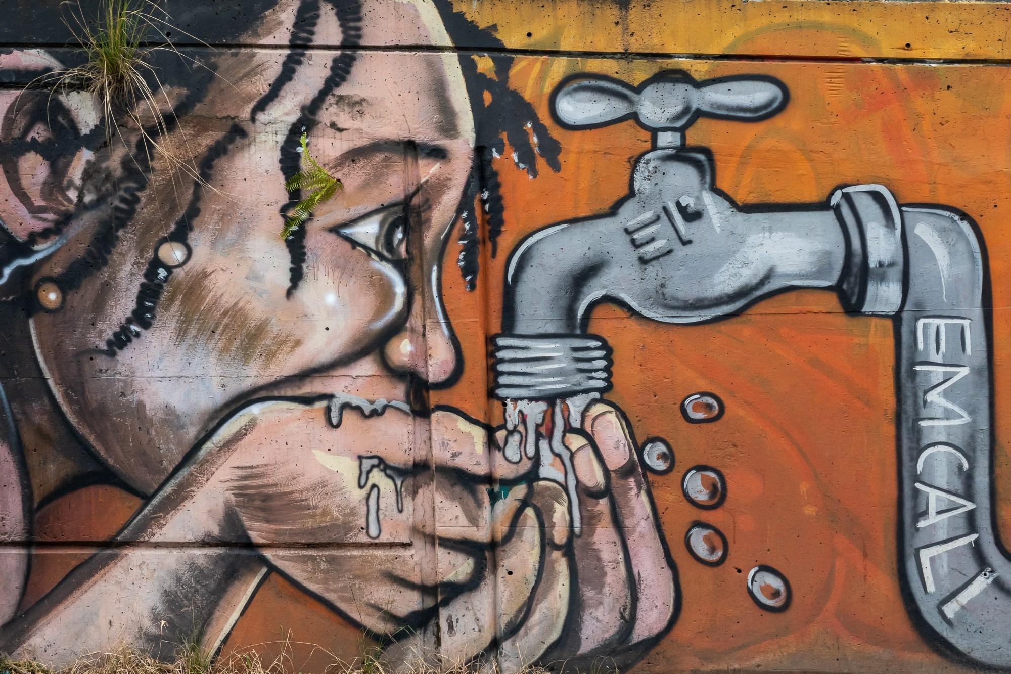 Фотограф Алексей Скоробогатько. Колумбия, г. Кали. Photographer Alexey Skorobogatko. Cali, Colombia. Фотограф Алексей Скоробогатько