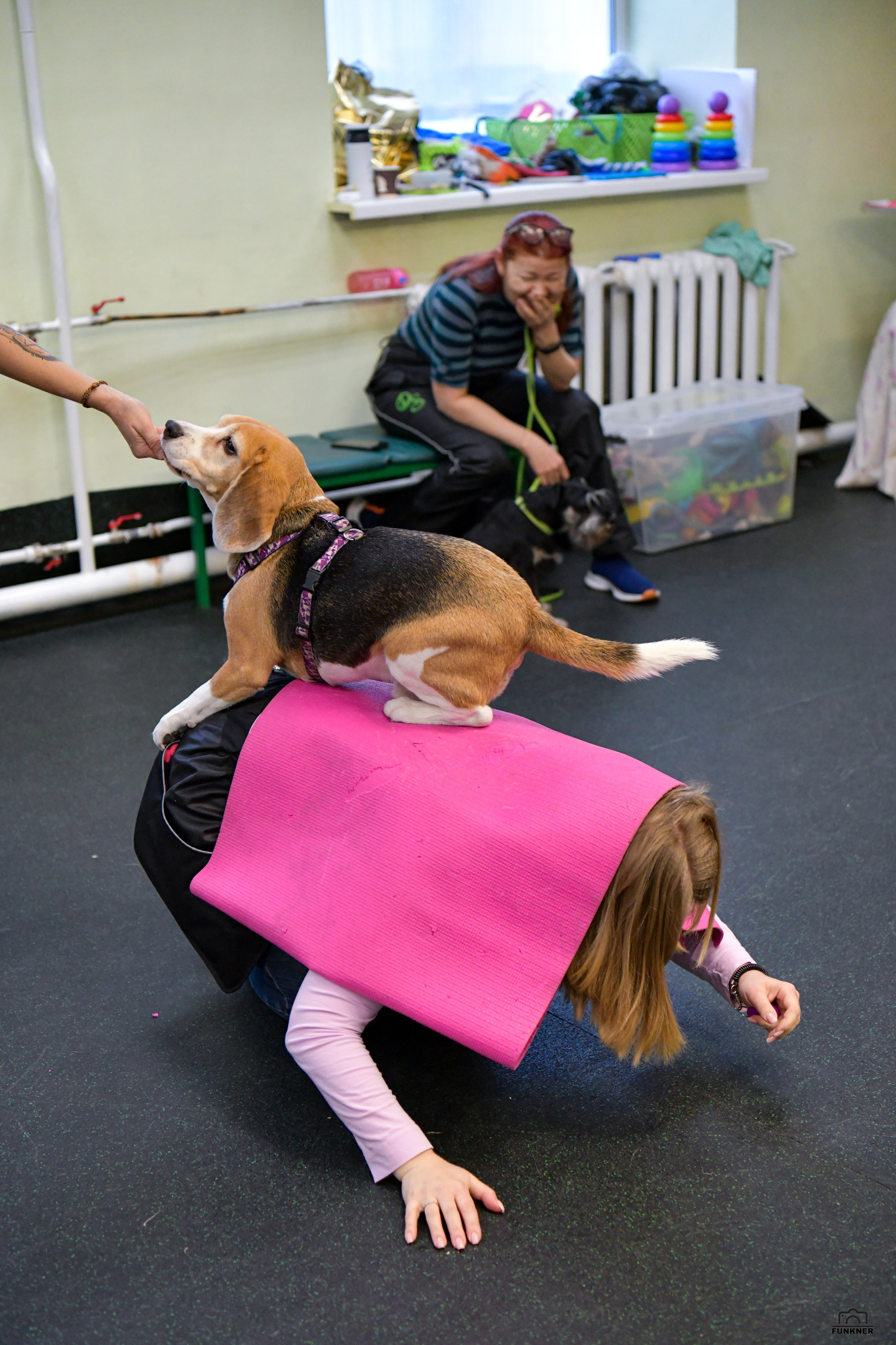 Кинологический клуб «Бодрый хвост». Свой взгляд через объектив