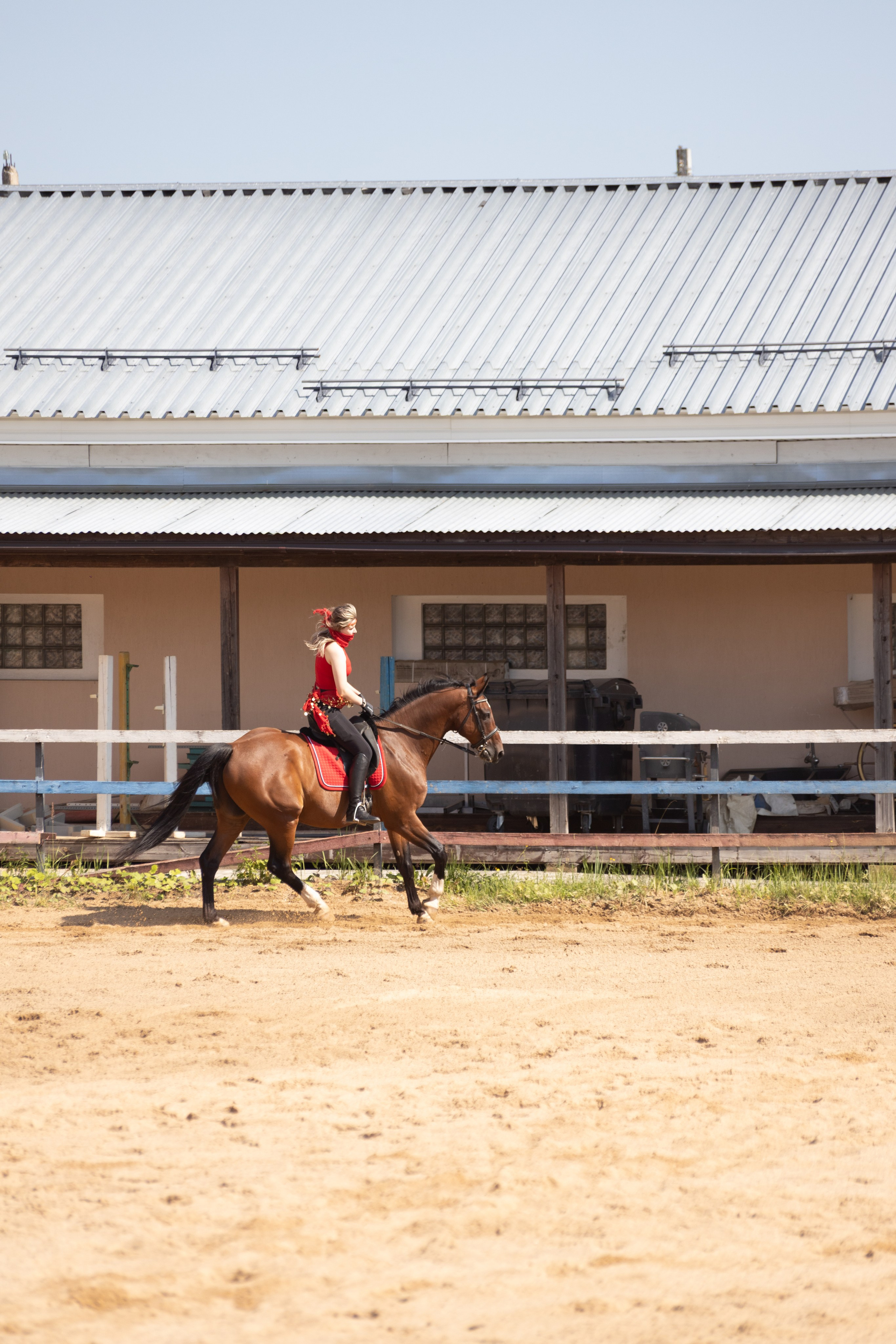 Конюшня. Фотограф в Москве и Истре