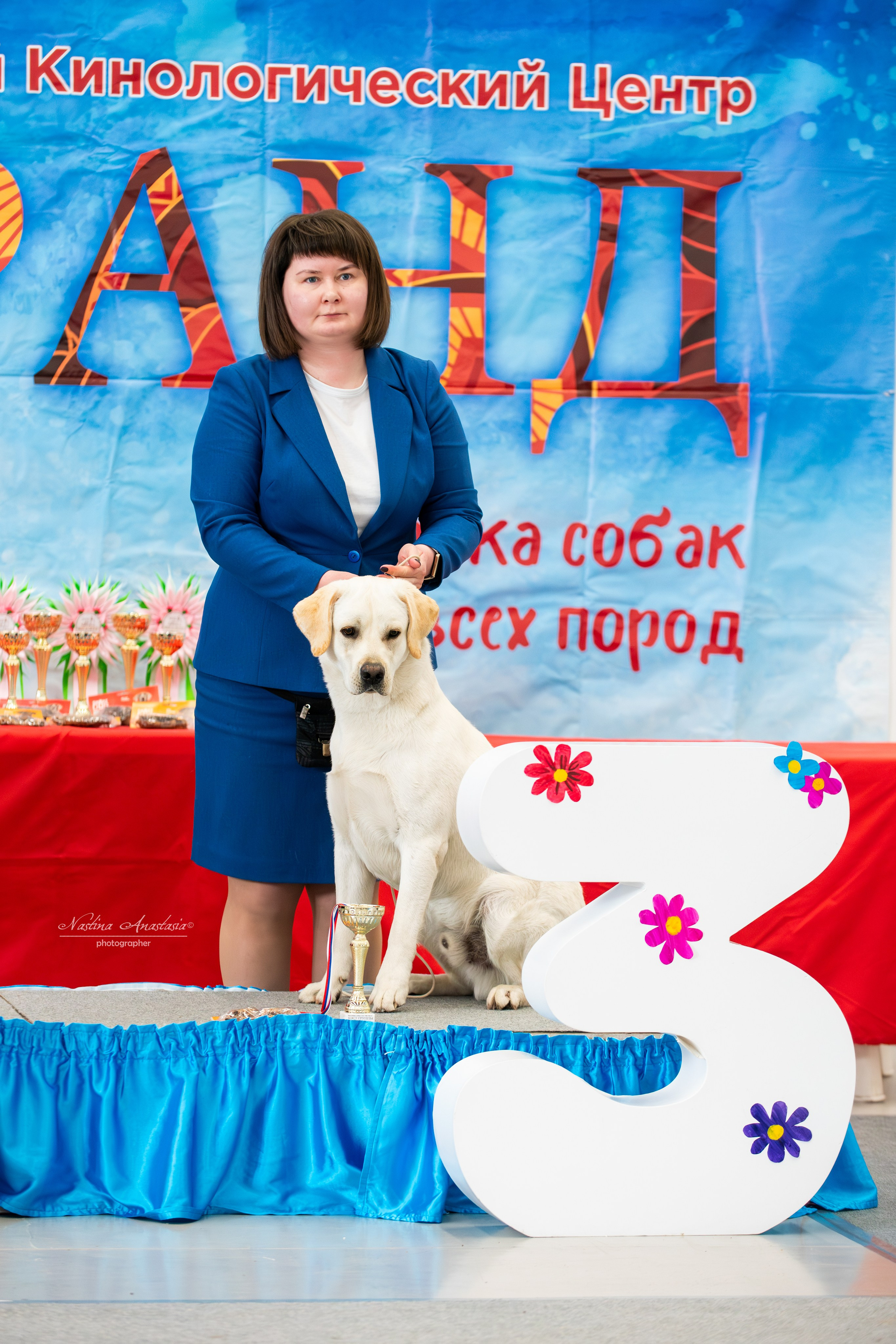 Выставки. Фотограф — Анималист