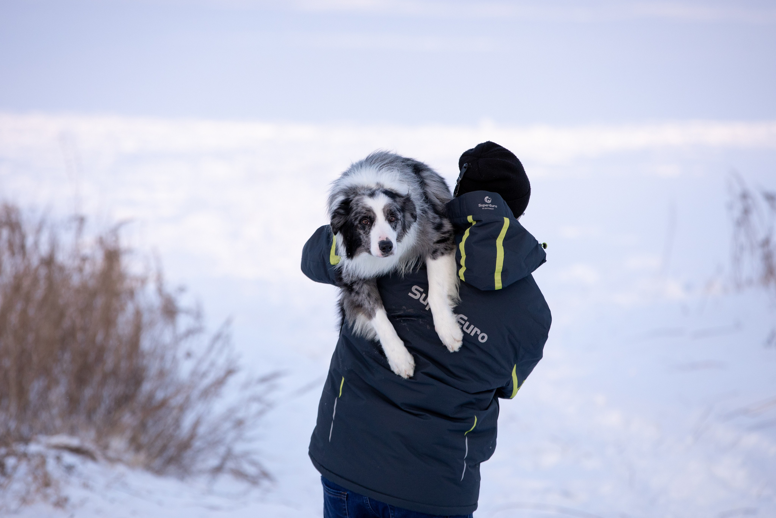 Мороз и солнце. О нас