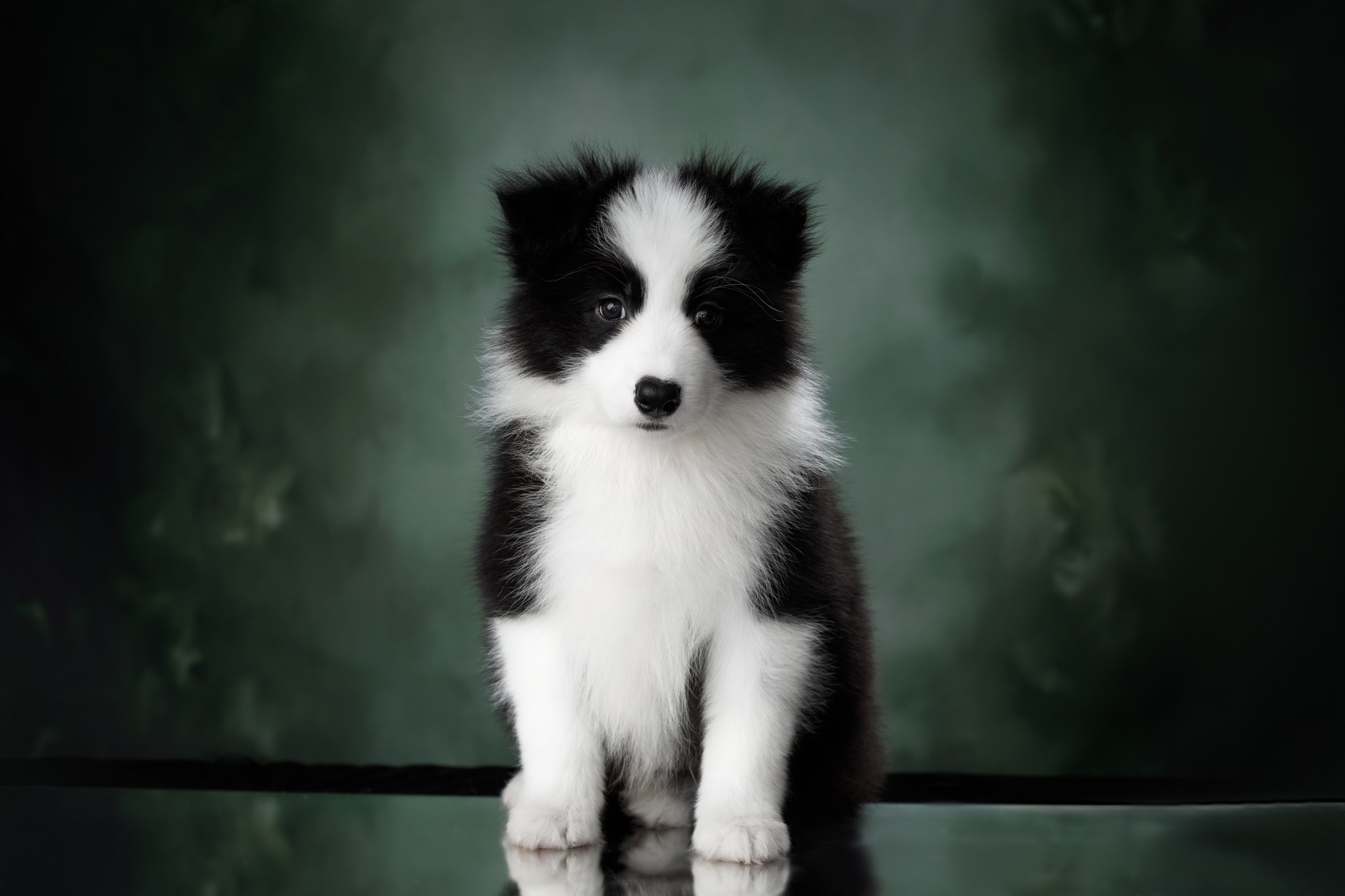 Март. Весна. 22. О нас