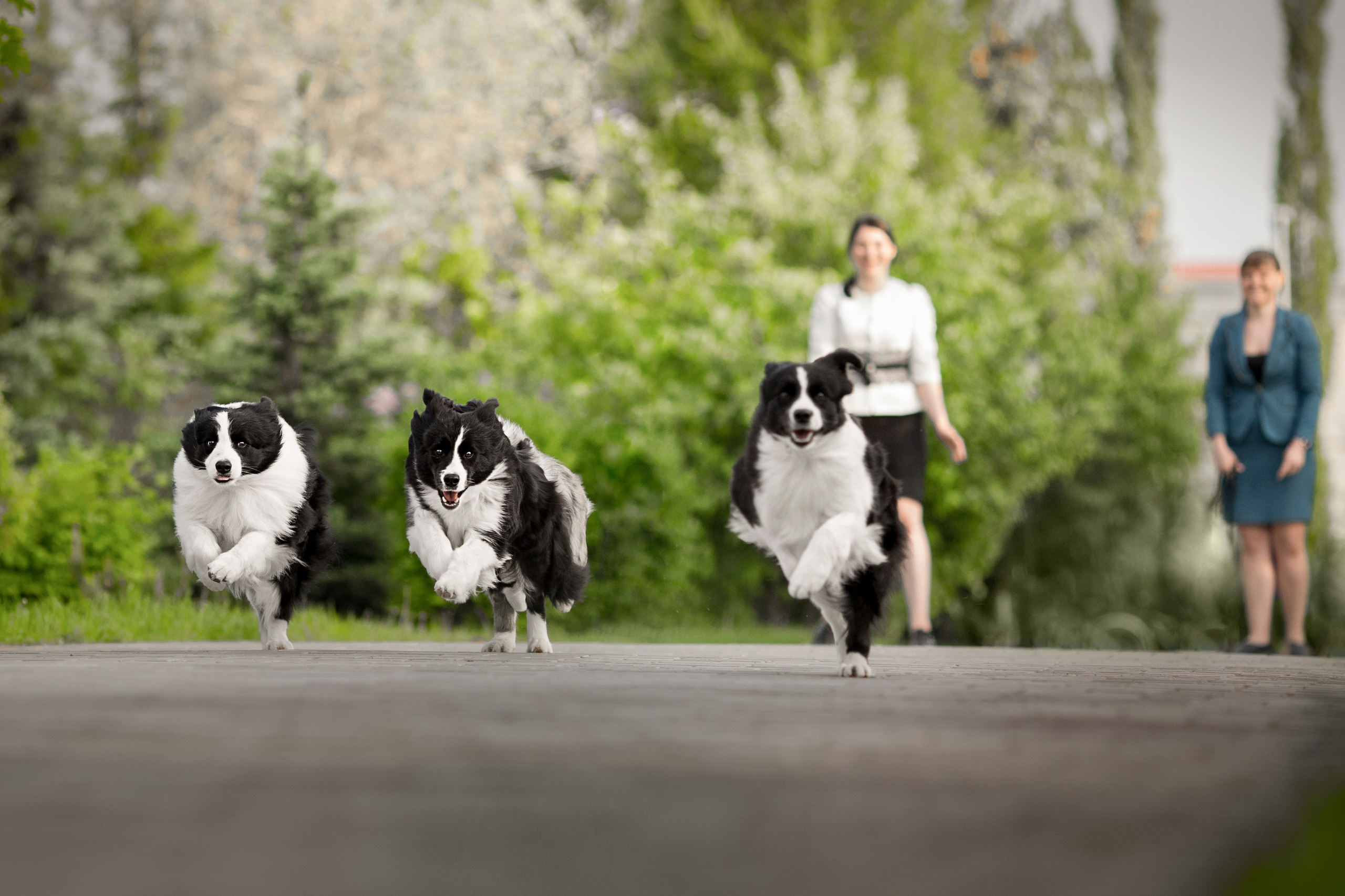 Роскошь в ростошах. О нас