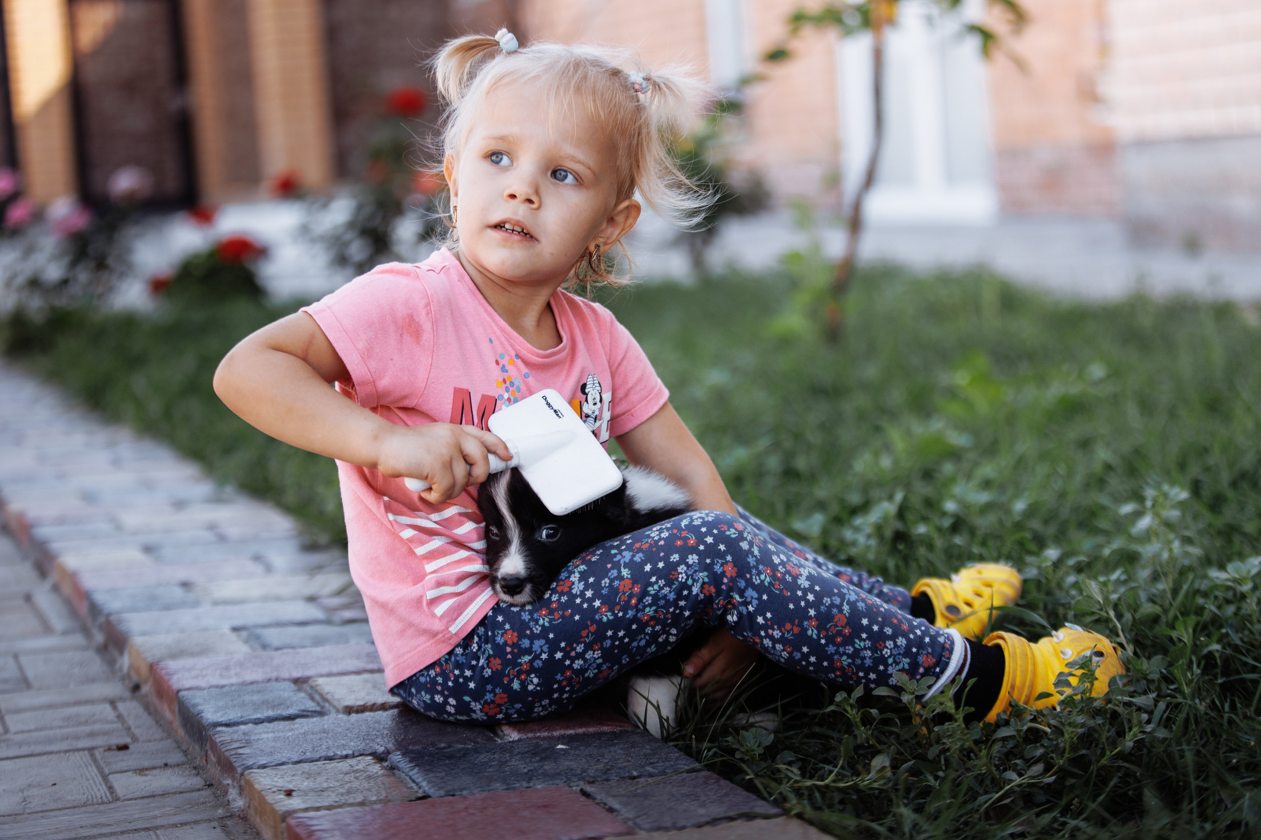 МММ — маленькое мягкое милое. О нас