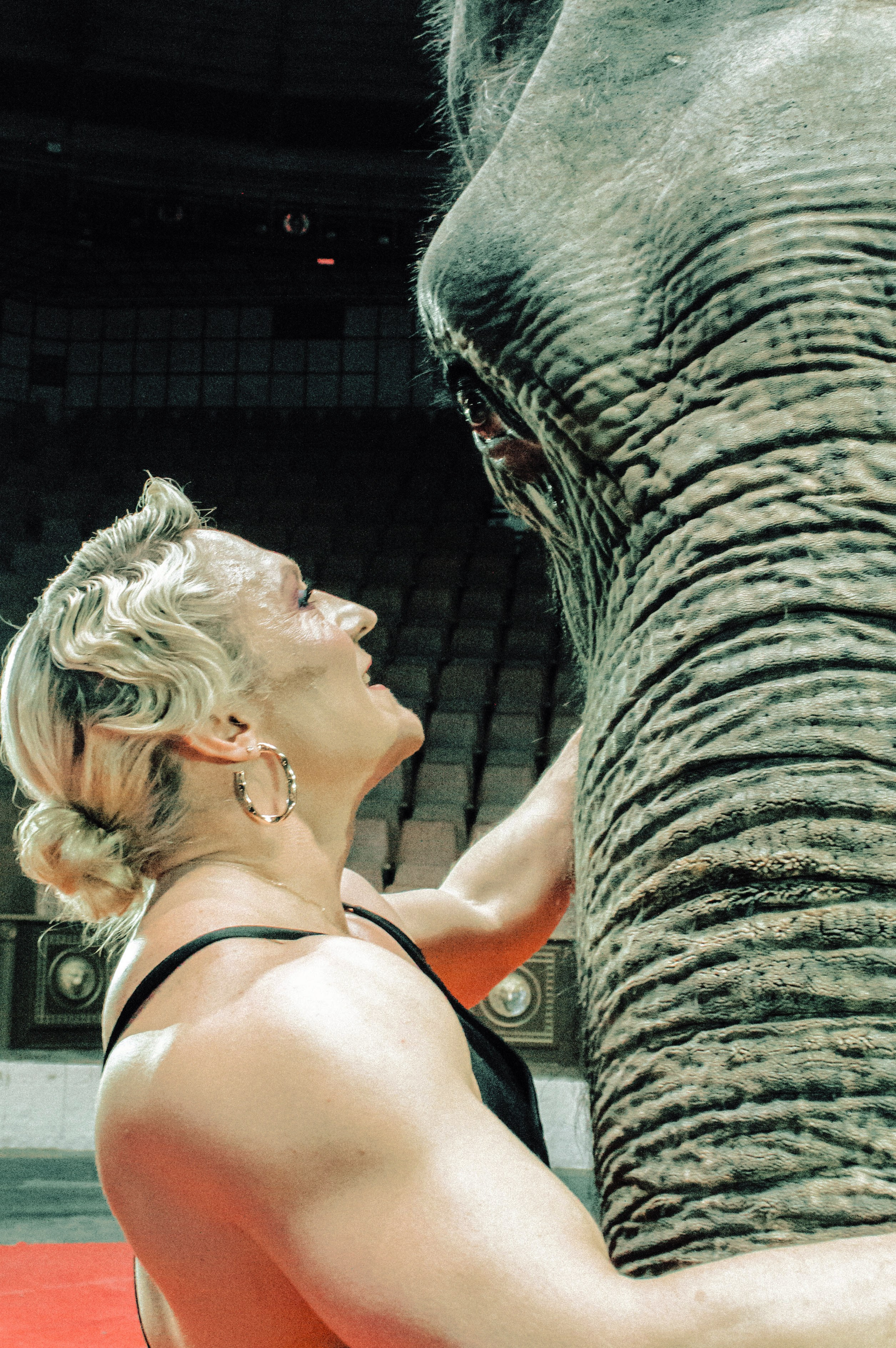 Екатерина. Главная