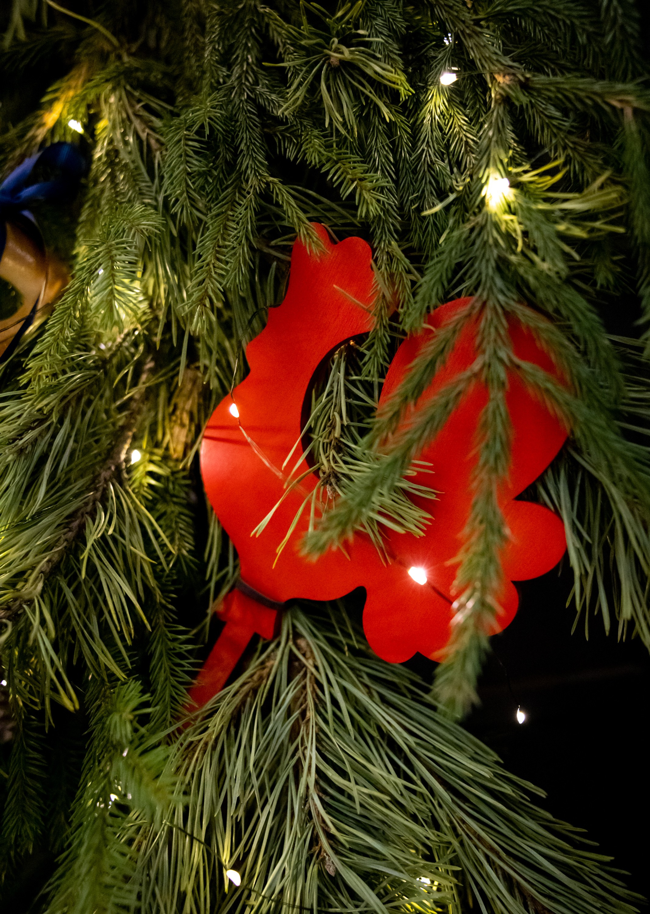 Новогодняя фотосессия в Костроме. Портретный фотограф в Костроме Наталия Клевинскас