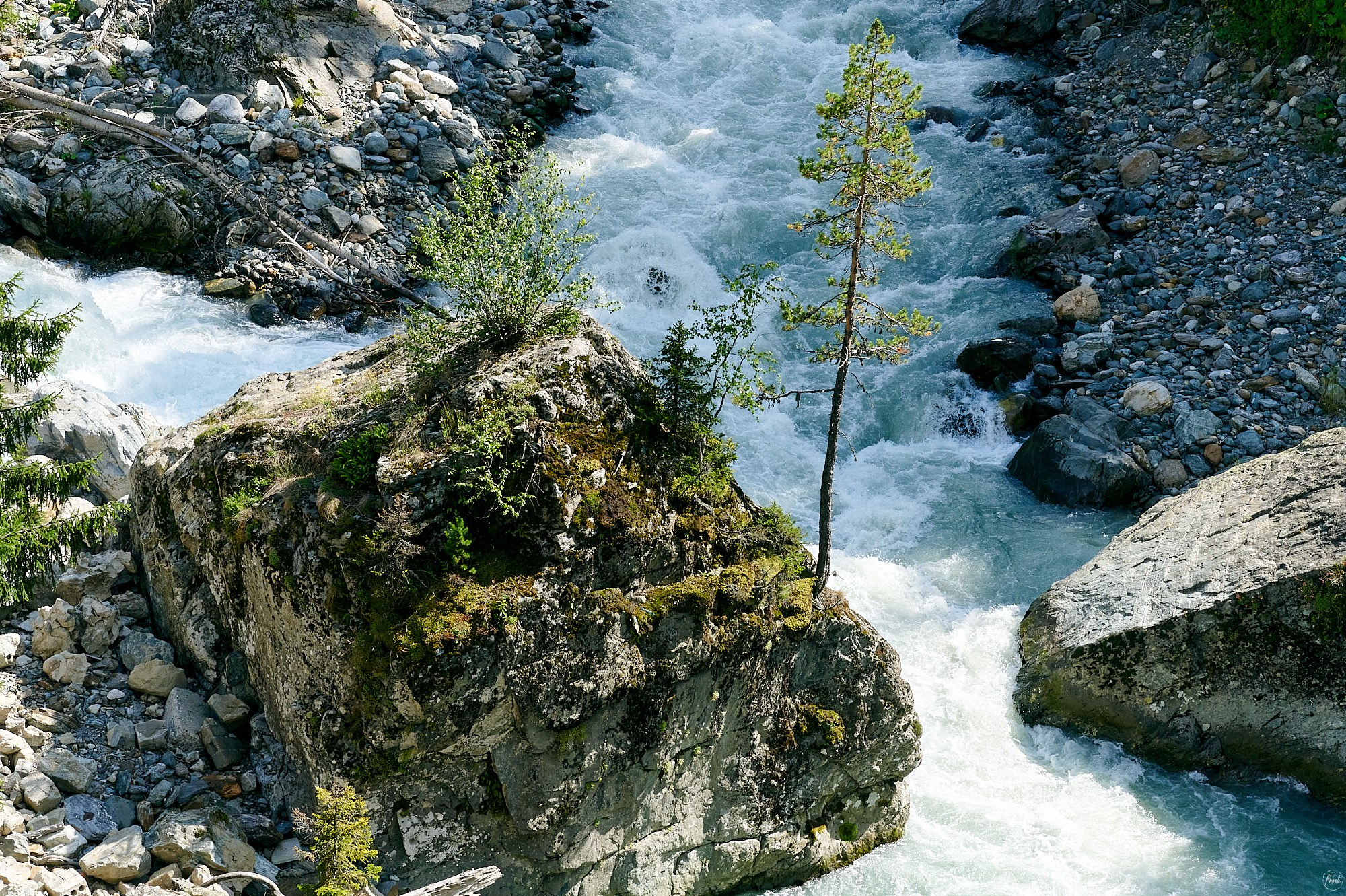 Домбай август 2024. Фотографии отовсюду и обо всем