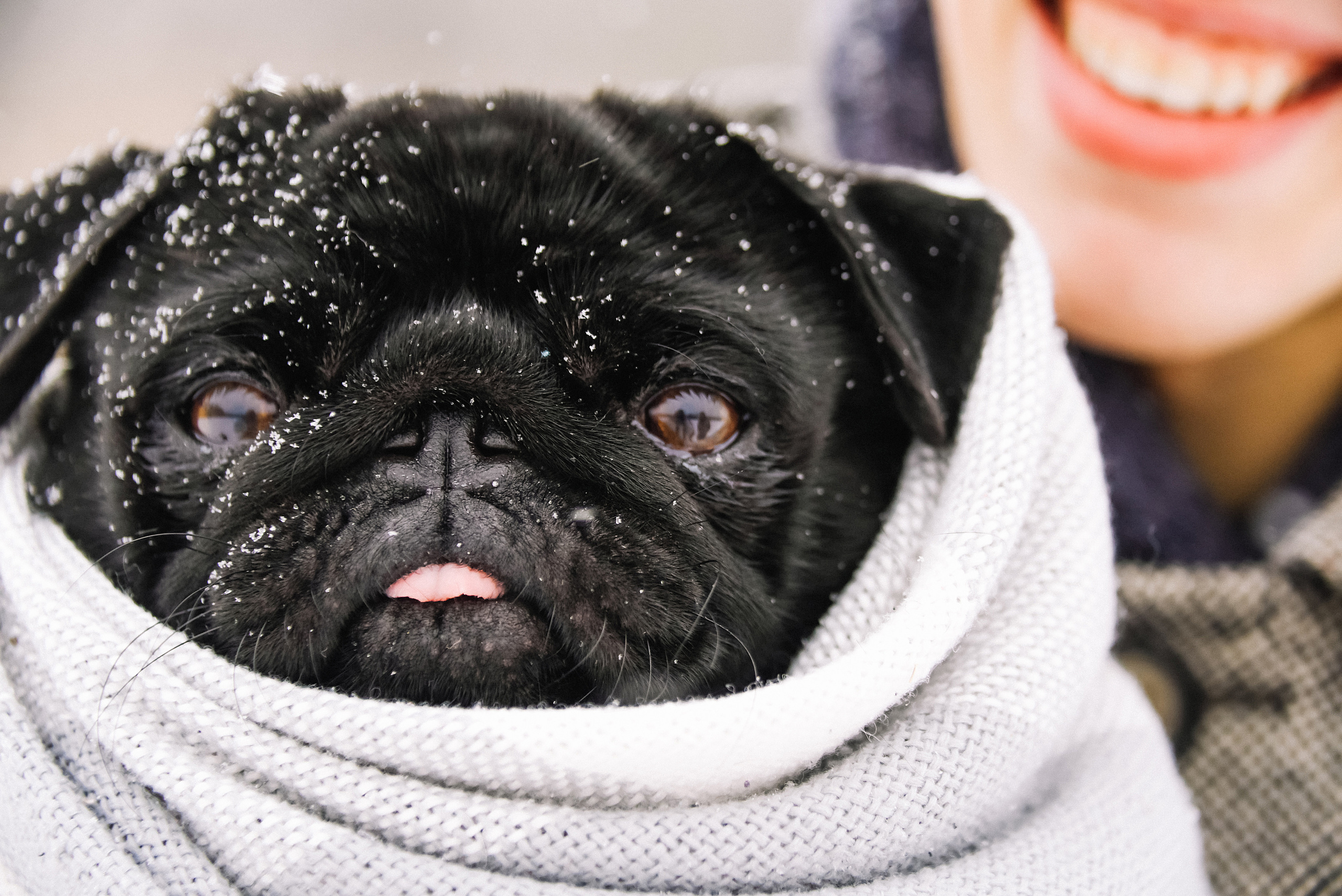 A+V+D. Свадебный фотограф Ростов-на-Дону от 4 400 руб. |Кристина Гайсенюк