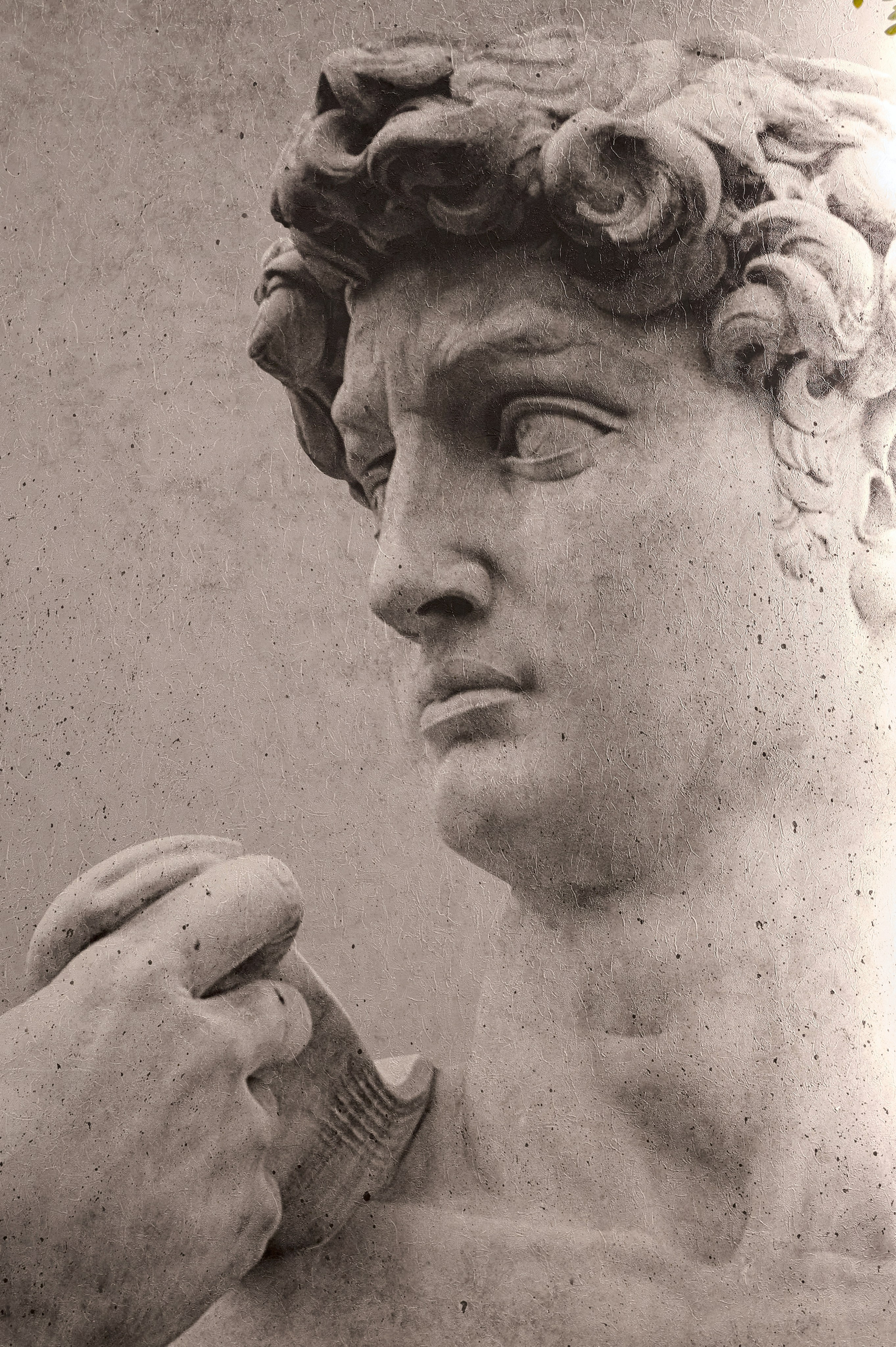 Перчини. Фотограф Опыт Качество Скорость Горный Алтай Барнаул