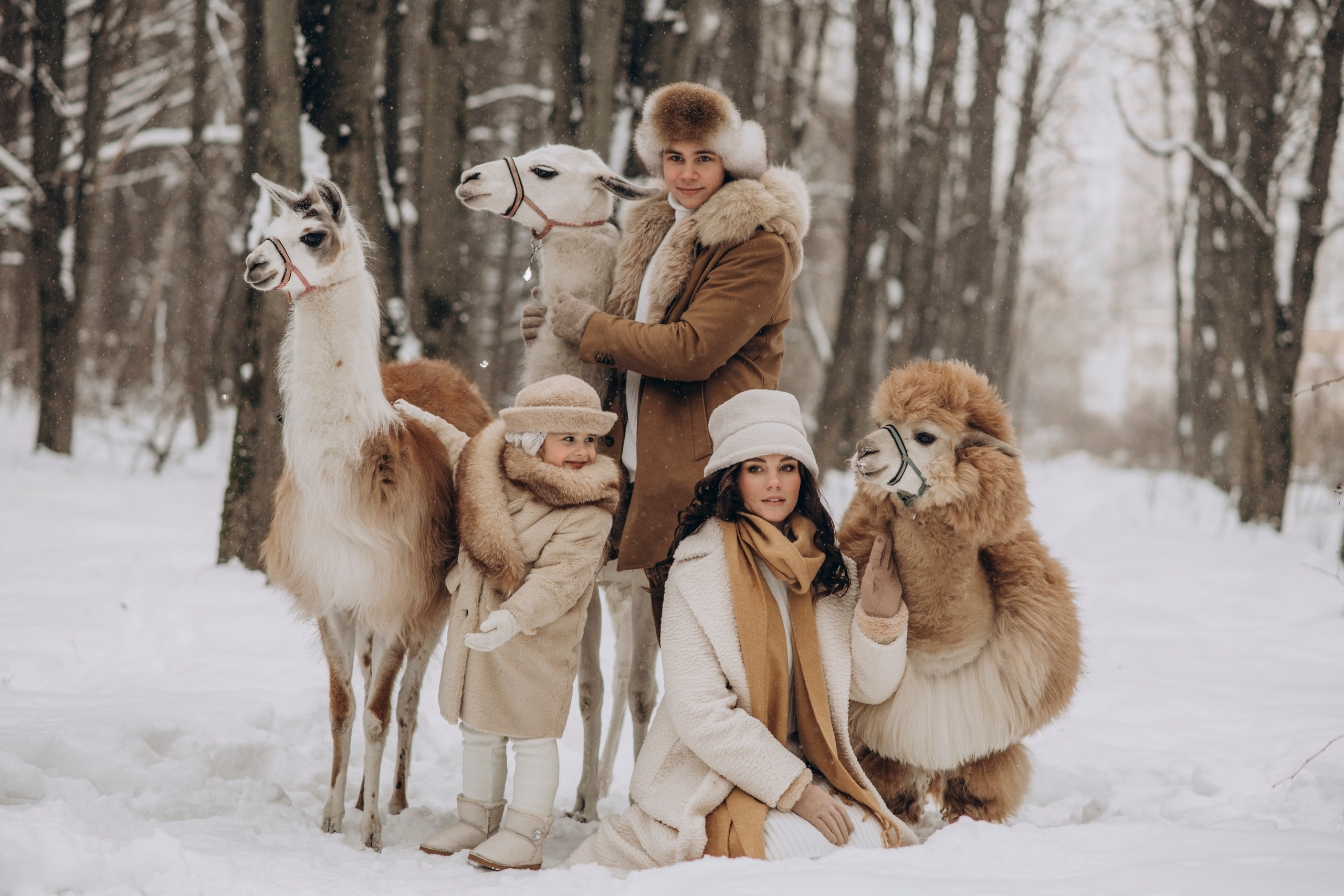 Зимняя фотосессия с Альпаками. Свадебный фотограф в Дмитрове