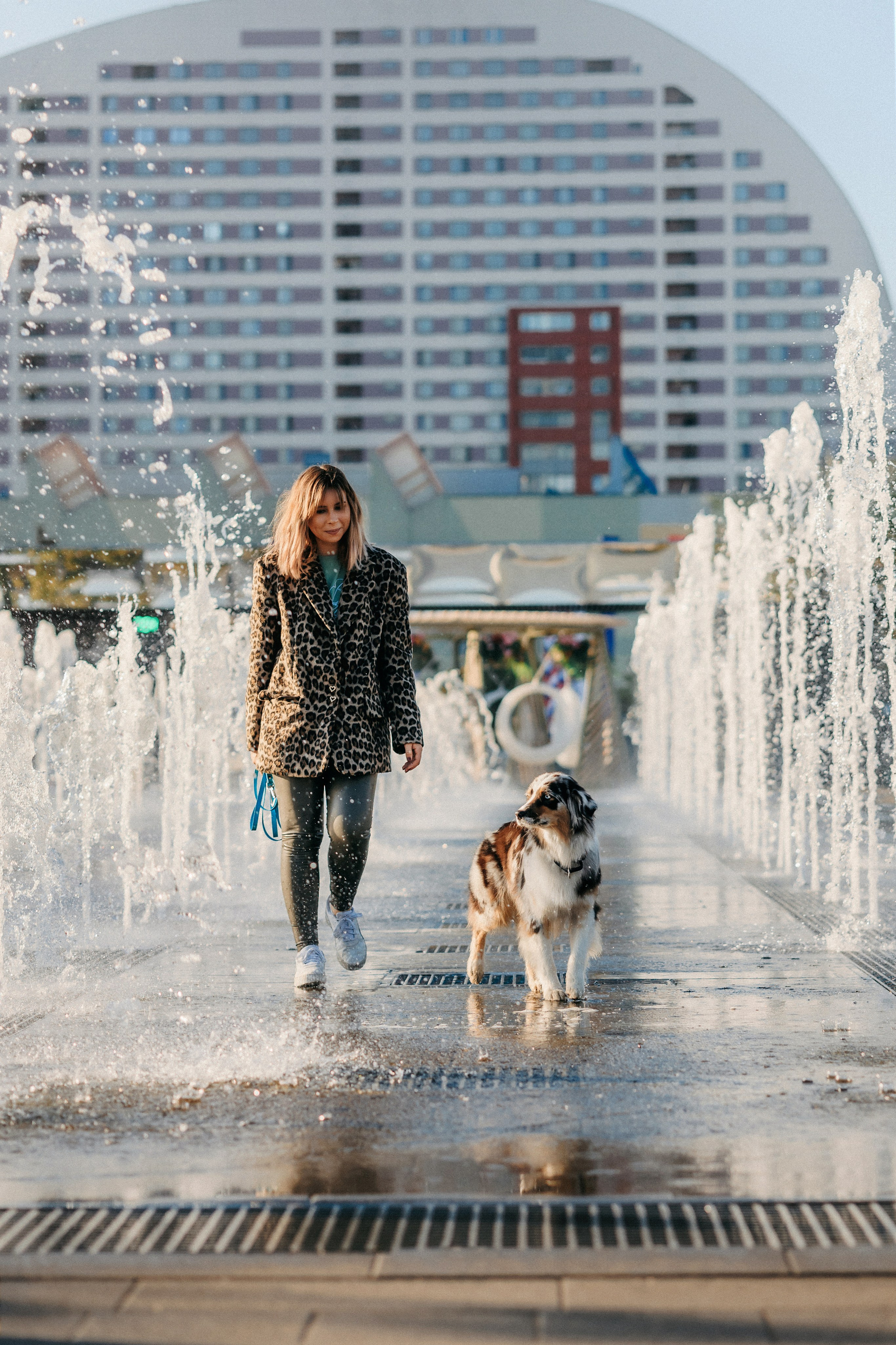 Аня, Чарли и Ева. Фотограф-анималист Елена Радченко, Москва