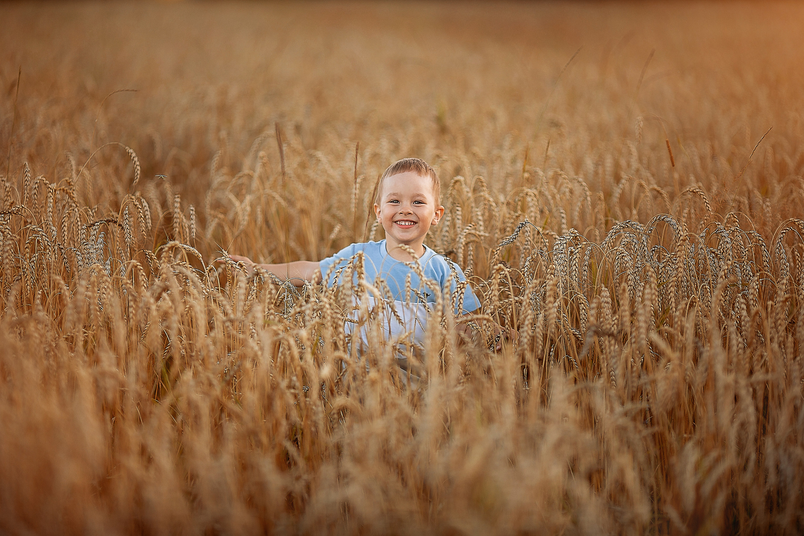 Фотосессия в поле Иваново. Олеся Ефанова фотограф Иваново, Тейково и Плёс