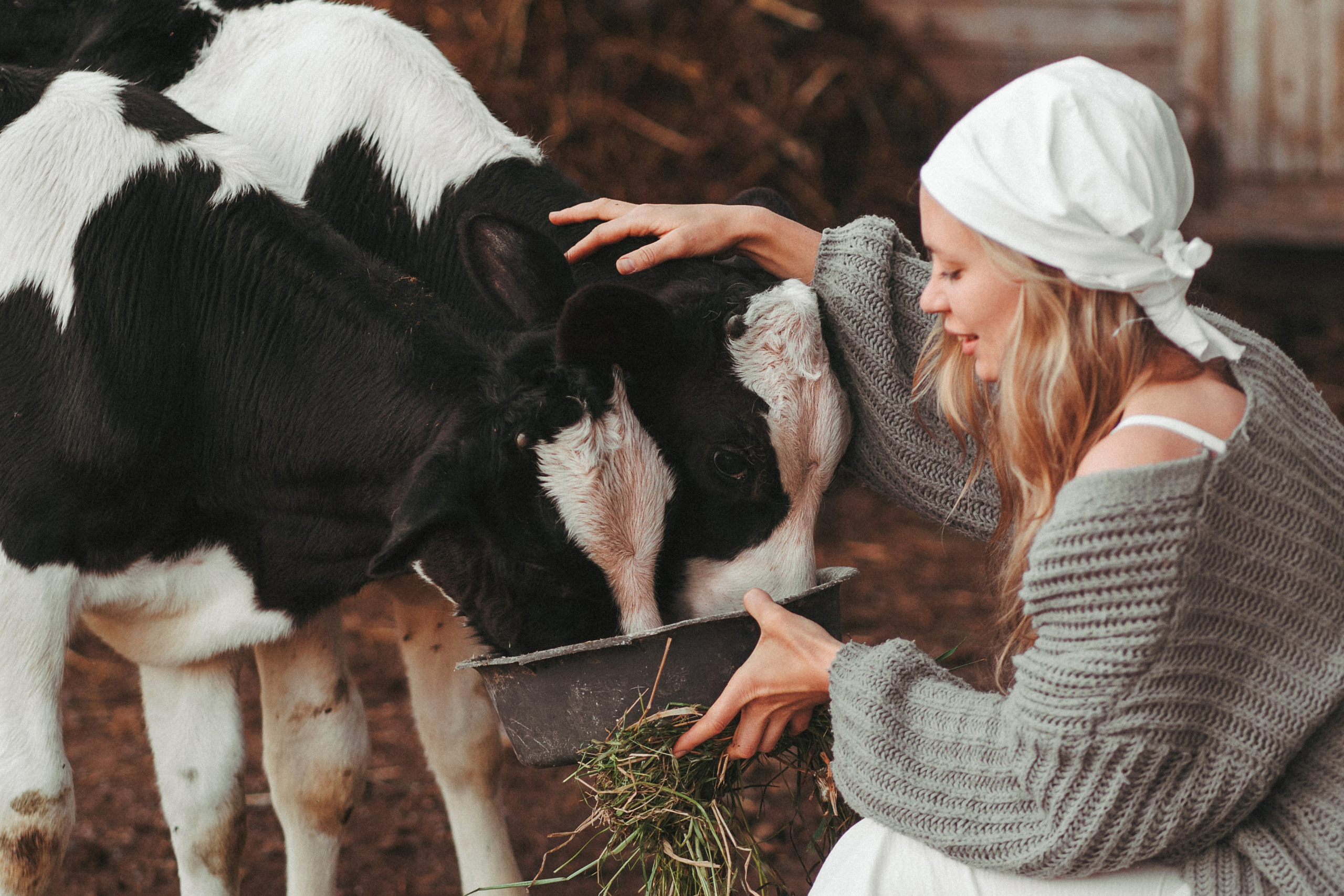 Художественные. Главная