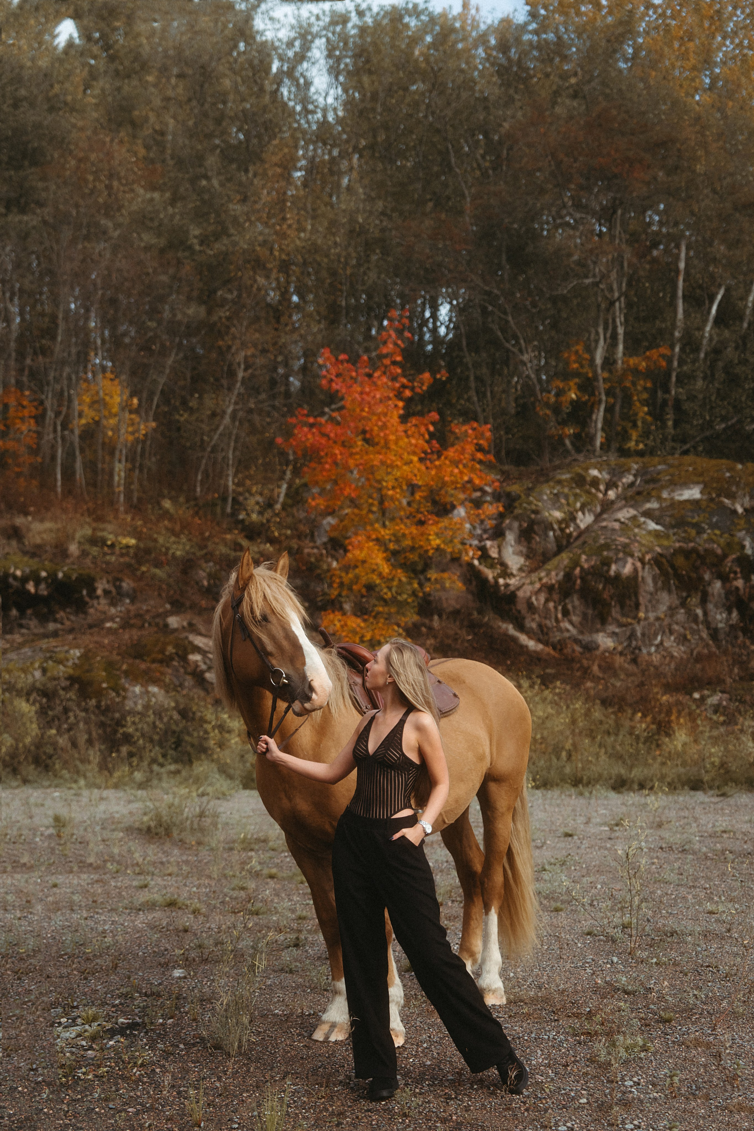 Конные. Главная