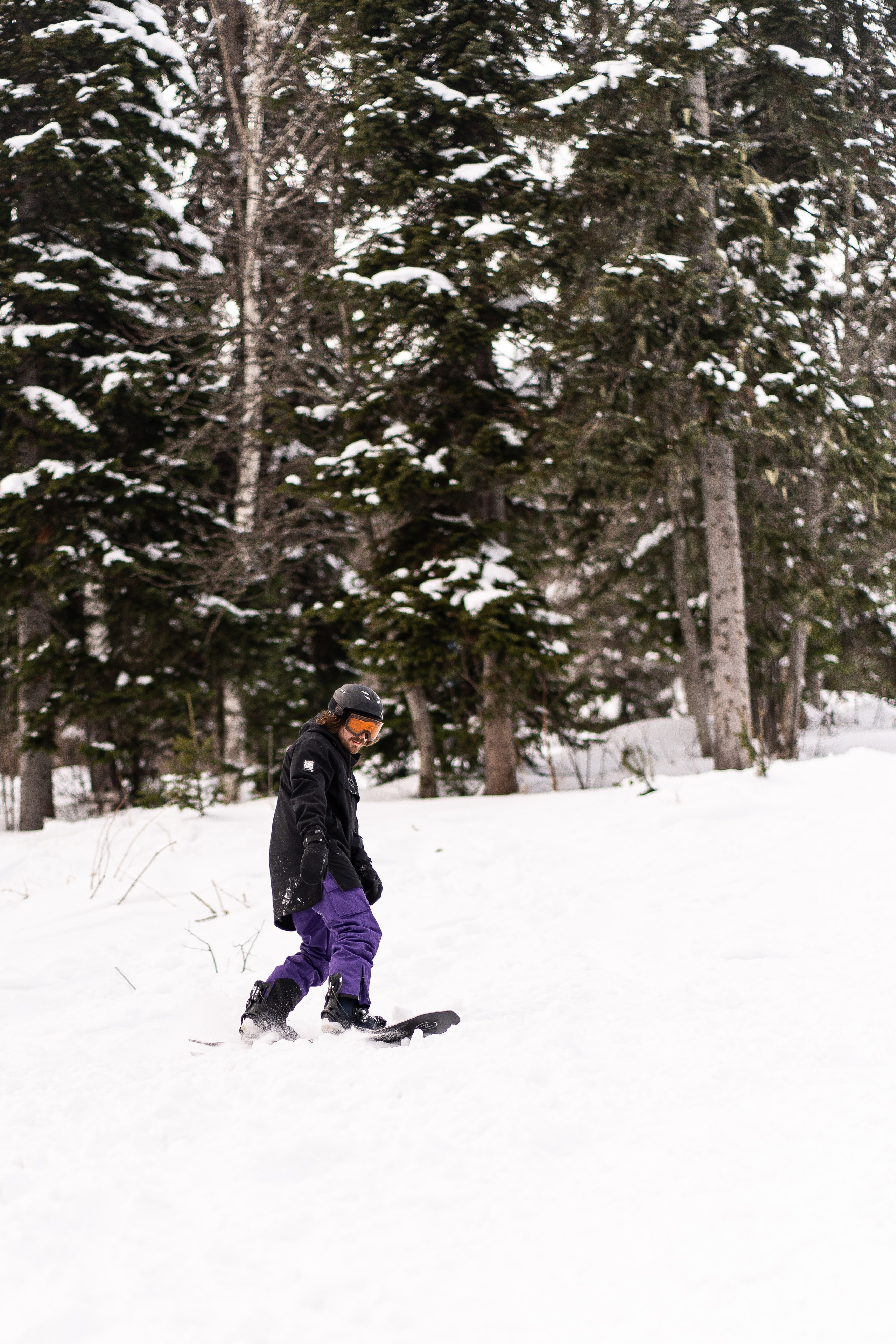 Джой 13.12. Анастасия Паршукова — фотограф Шерегеш Новосибирск