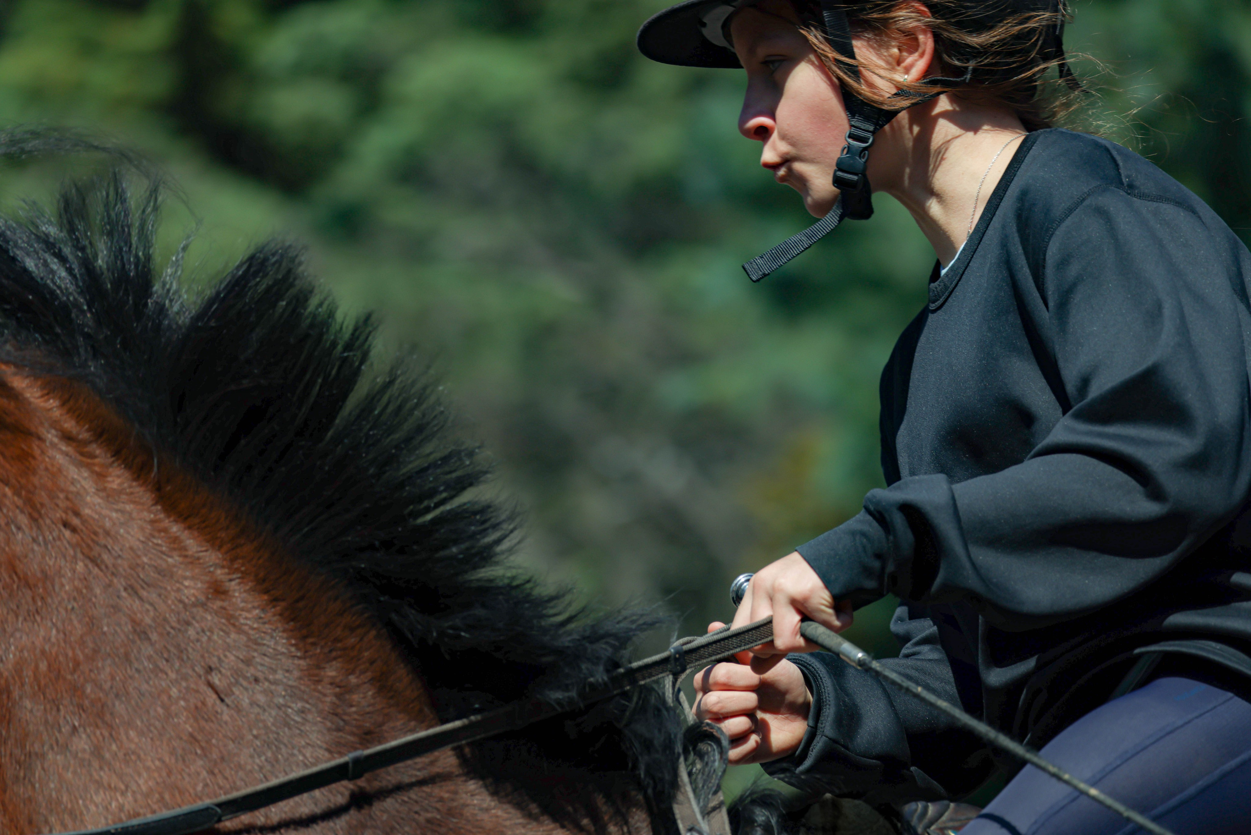 Лошади. Kateserbina