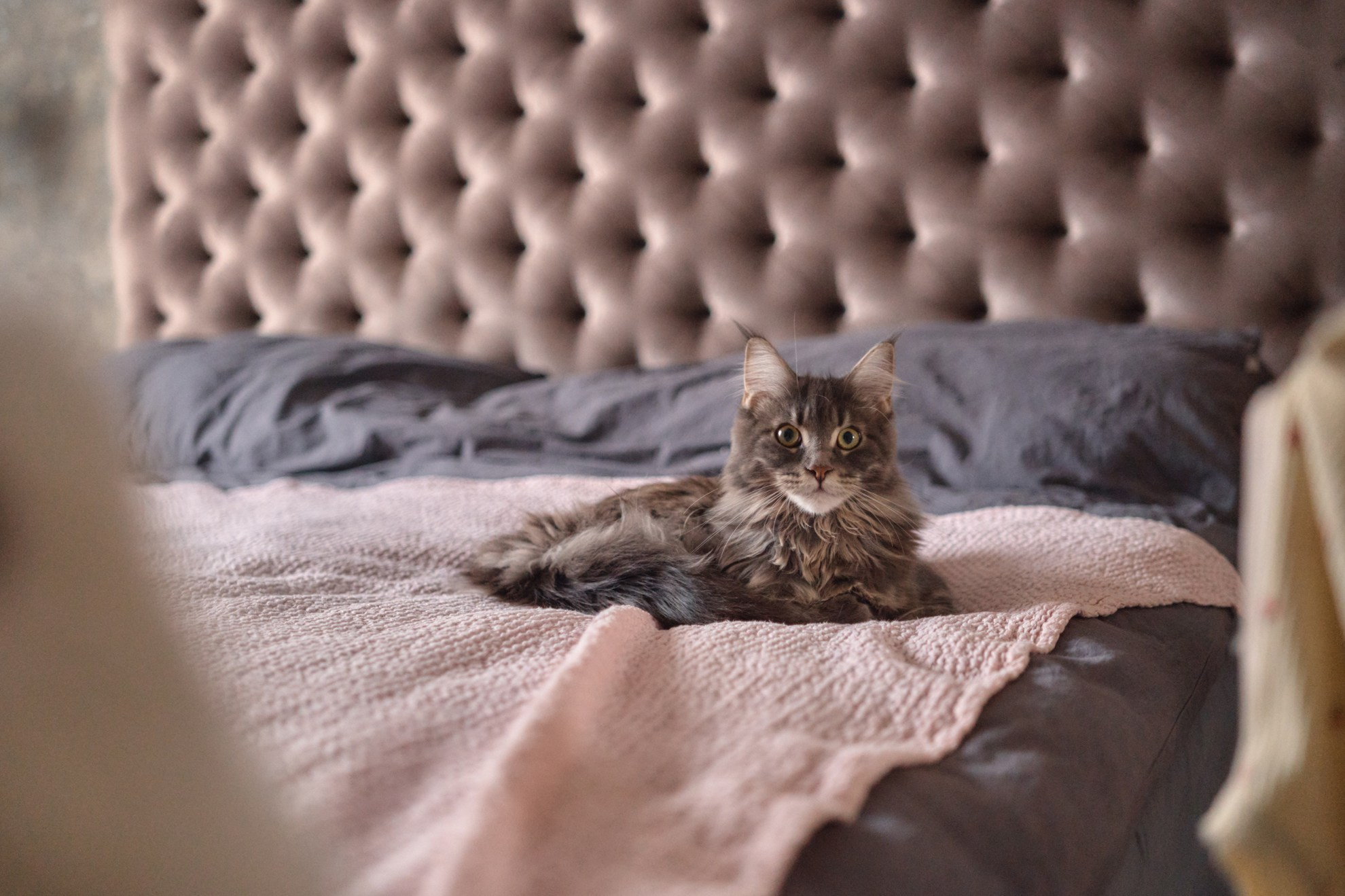 Один день из жизни малышки Эвелины. Фотограф Женя Пашкина