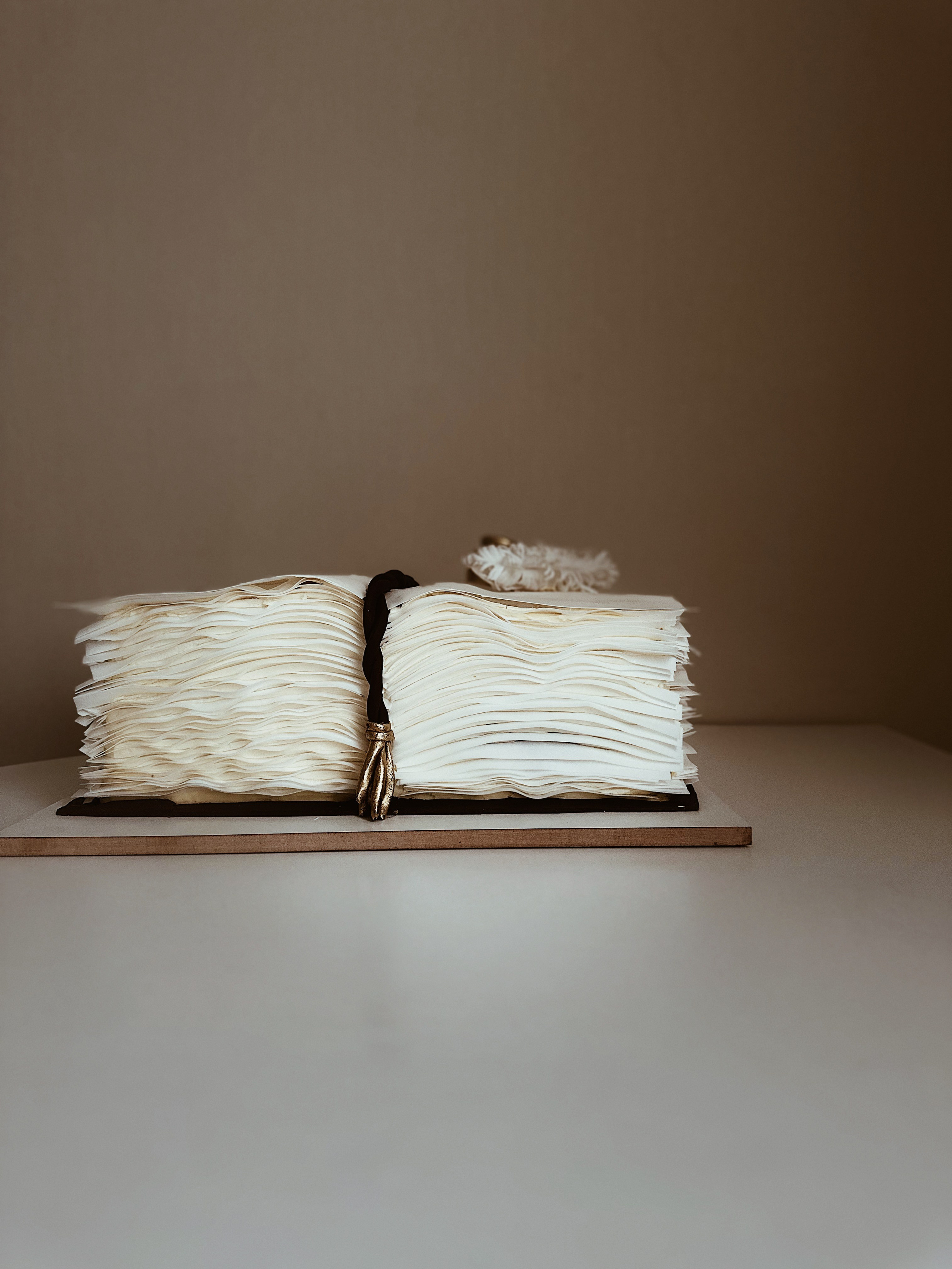 Торт-книга. Арт-кондитер в Москве Маша Шафран