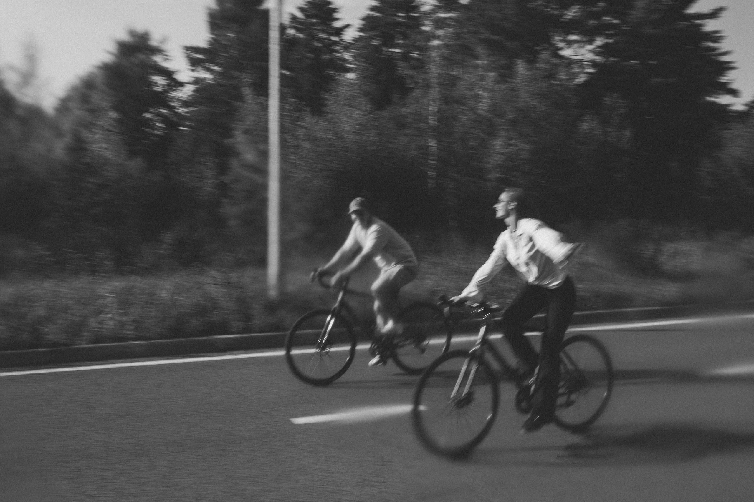 Прогулка по лесу на велосипедах. Свадебный фотограф Казань