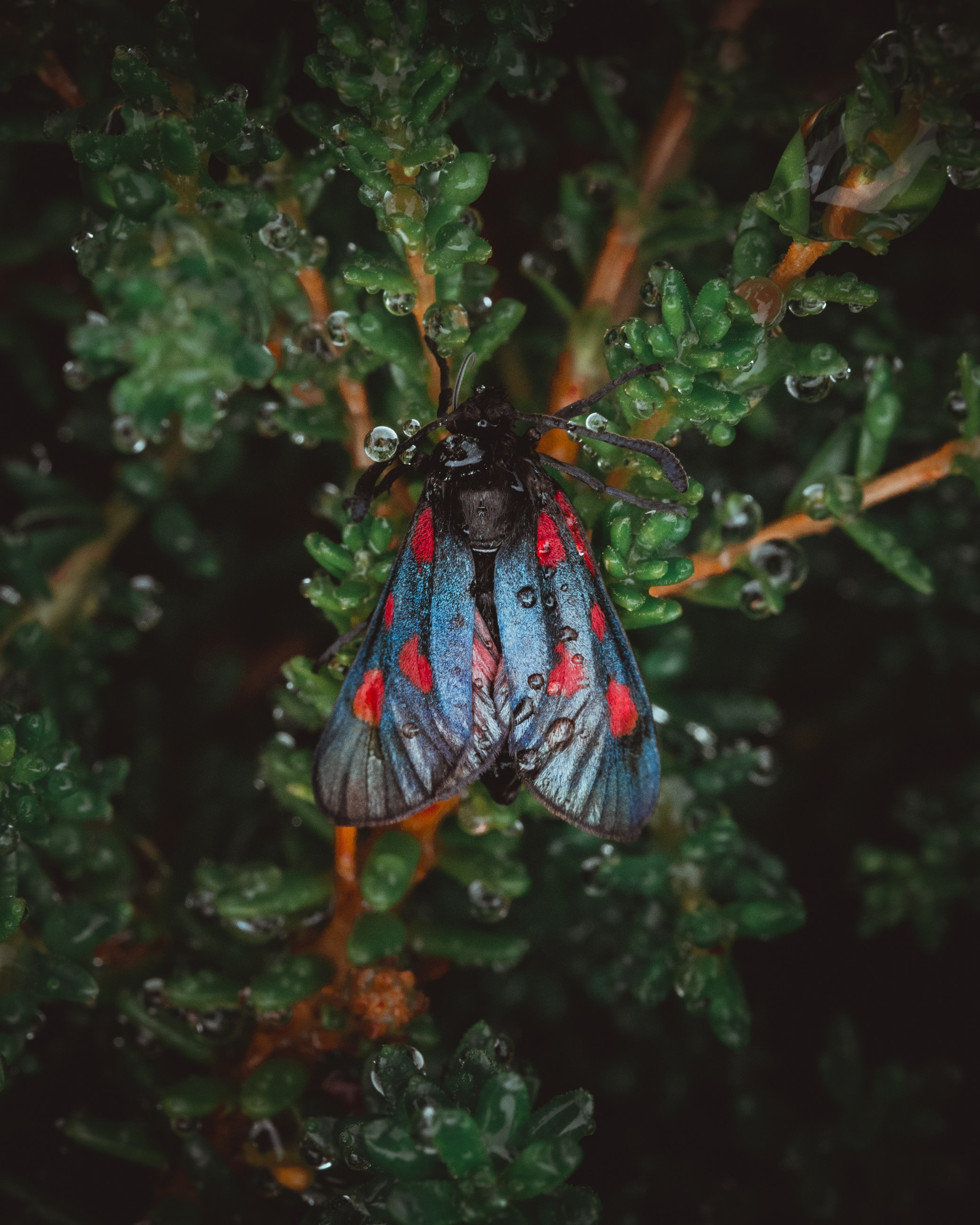П-ОВА СРЕДНИЙ И РЫБАЧИЙ. Пейзажный и тревел-фотограф Алексей Соколенко