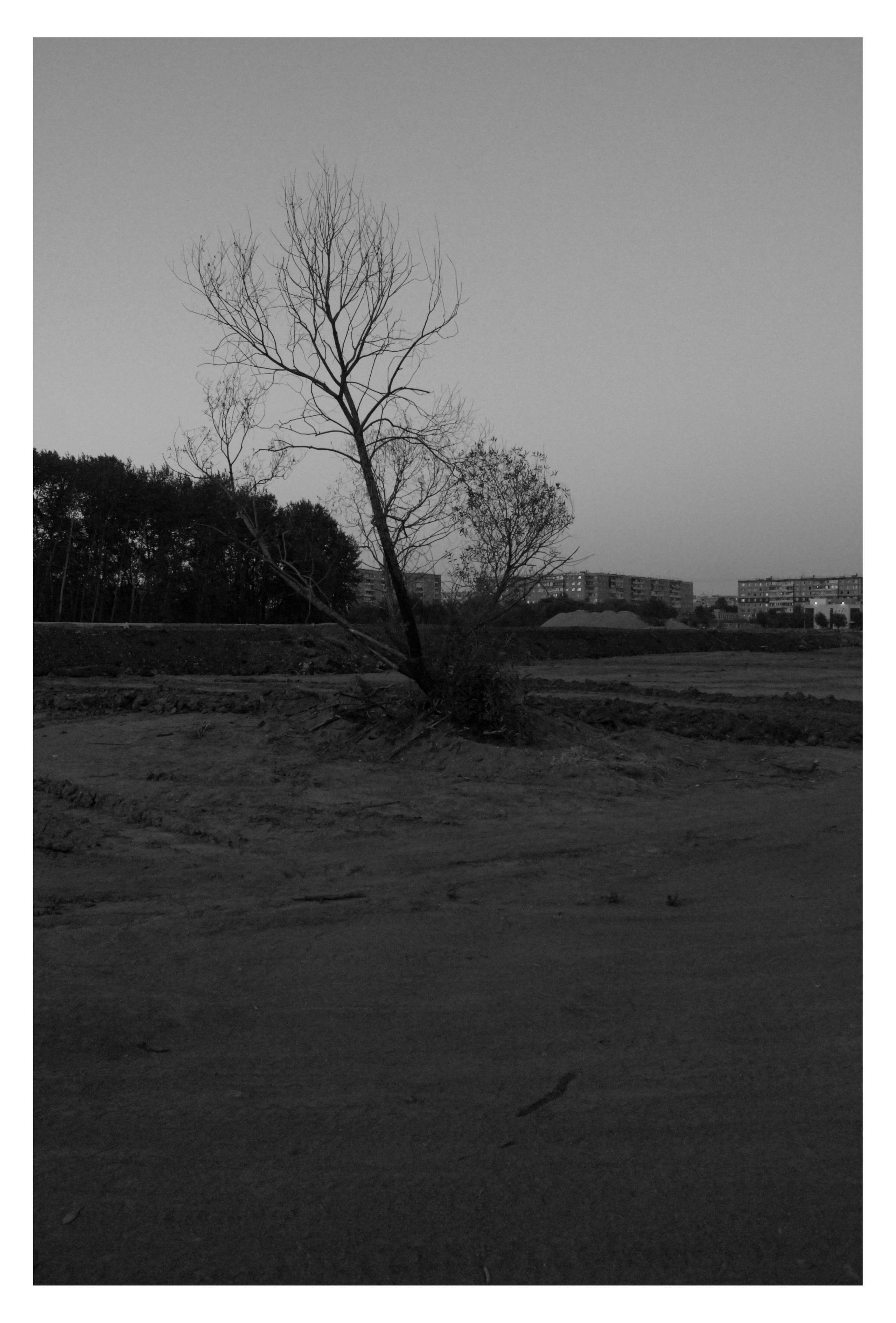 CHELYABINSK. Photographer Manakova Olga