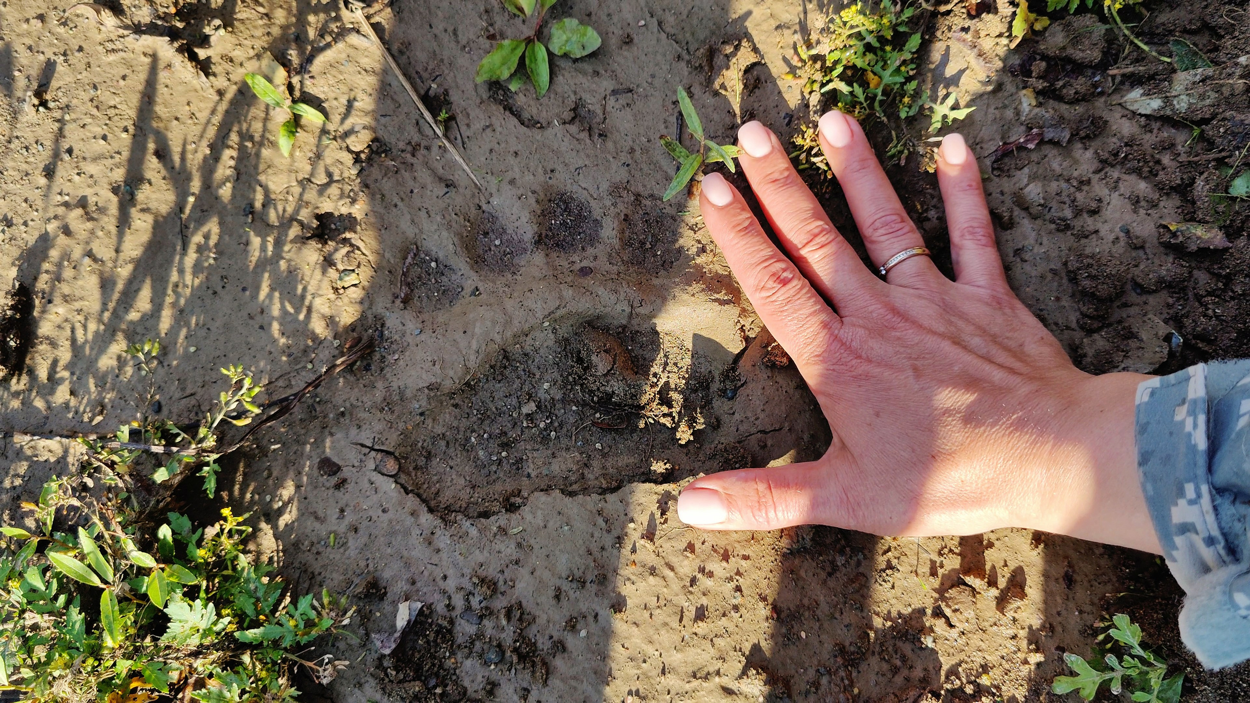 Фото и видеосъемка экстремальных походов на квадроциклах на Алтае