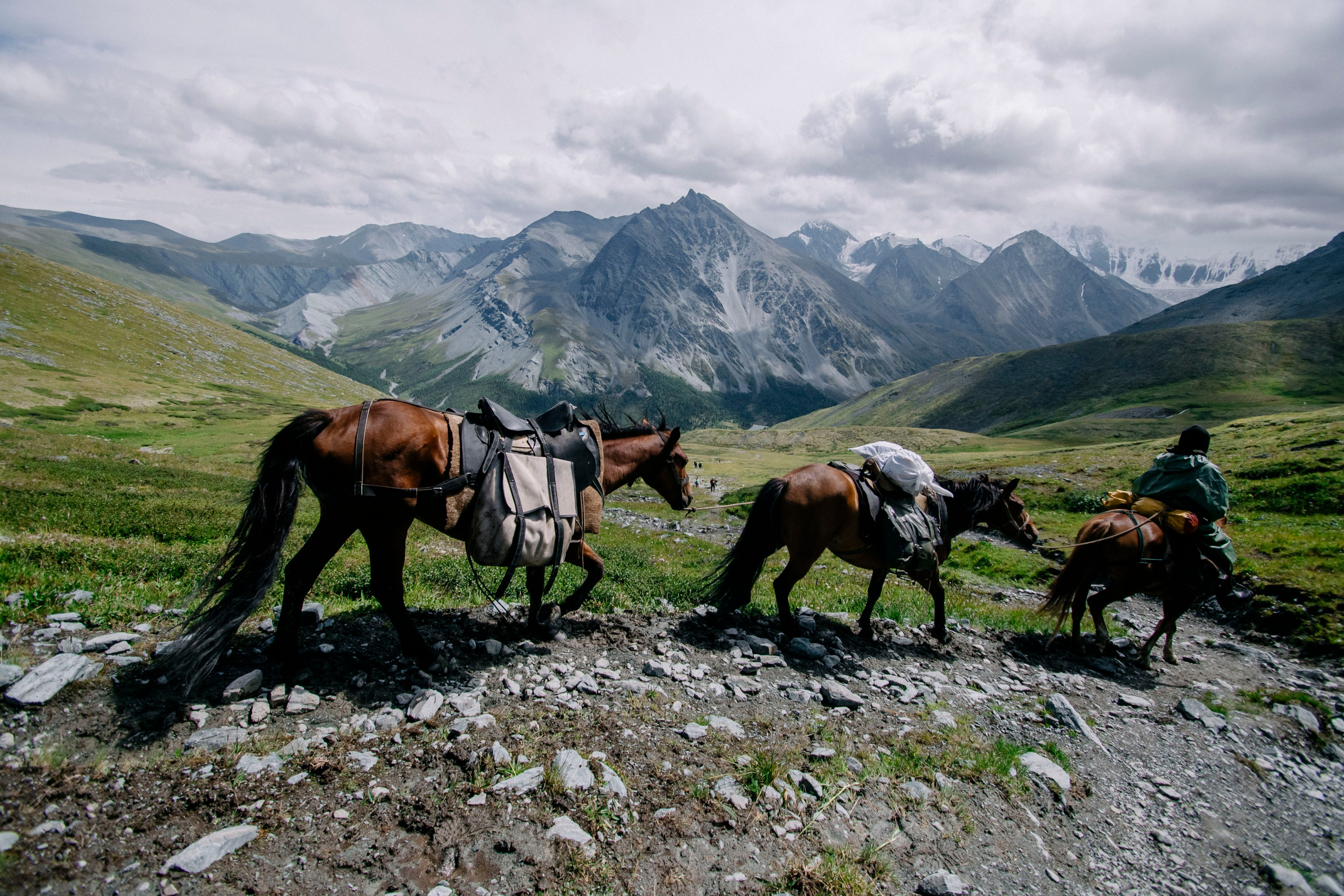 Altai landscape. Iraogo