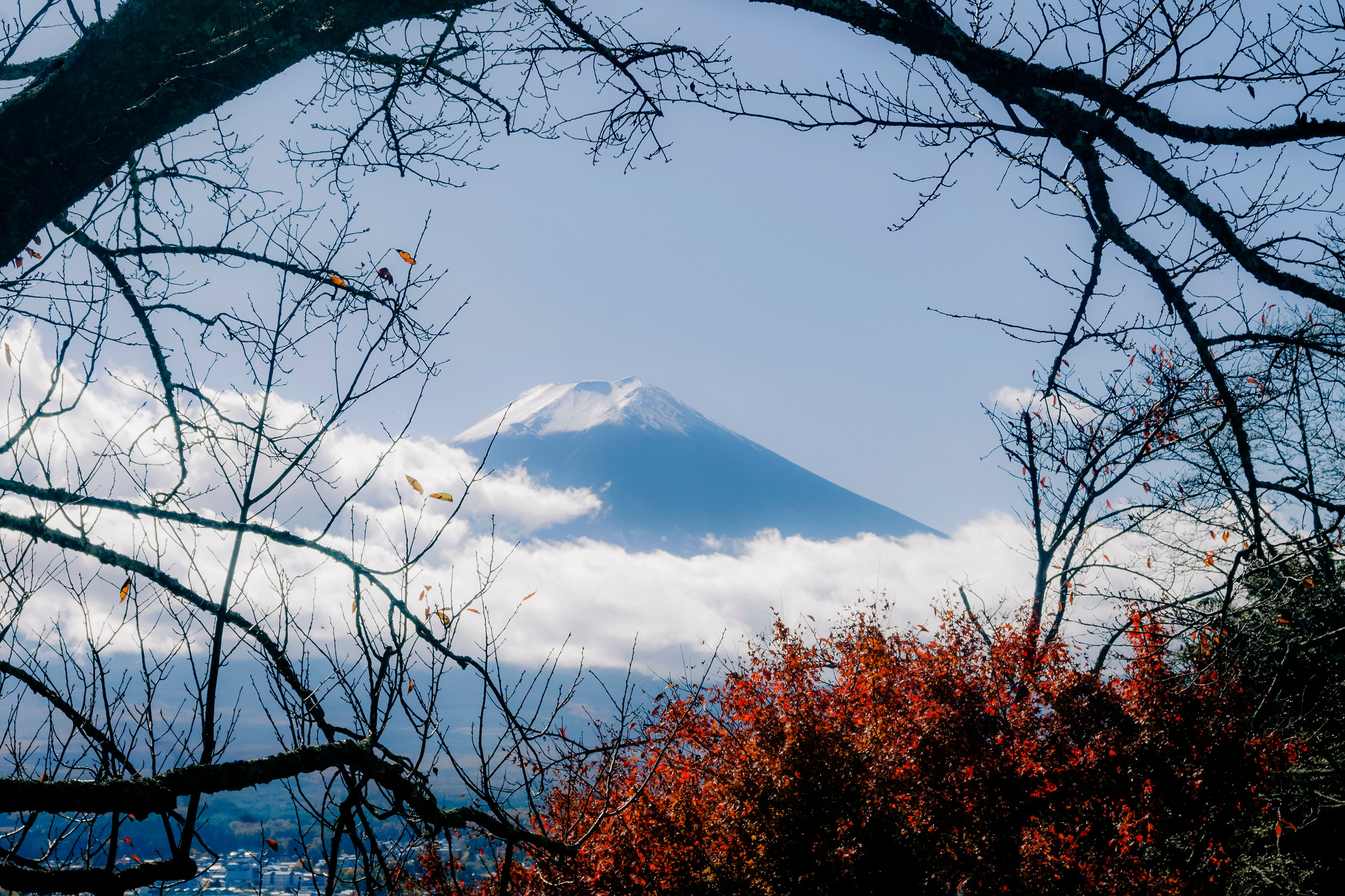 Japan village. Iraogo