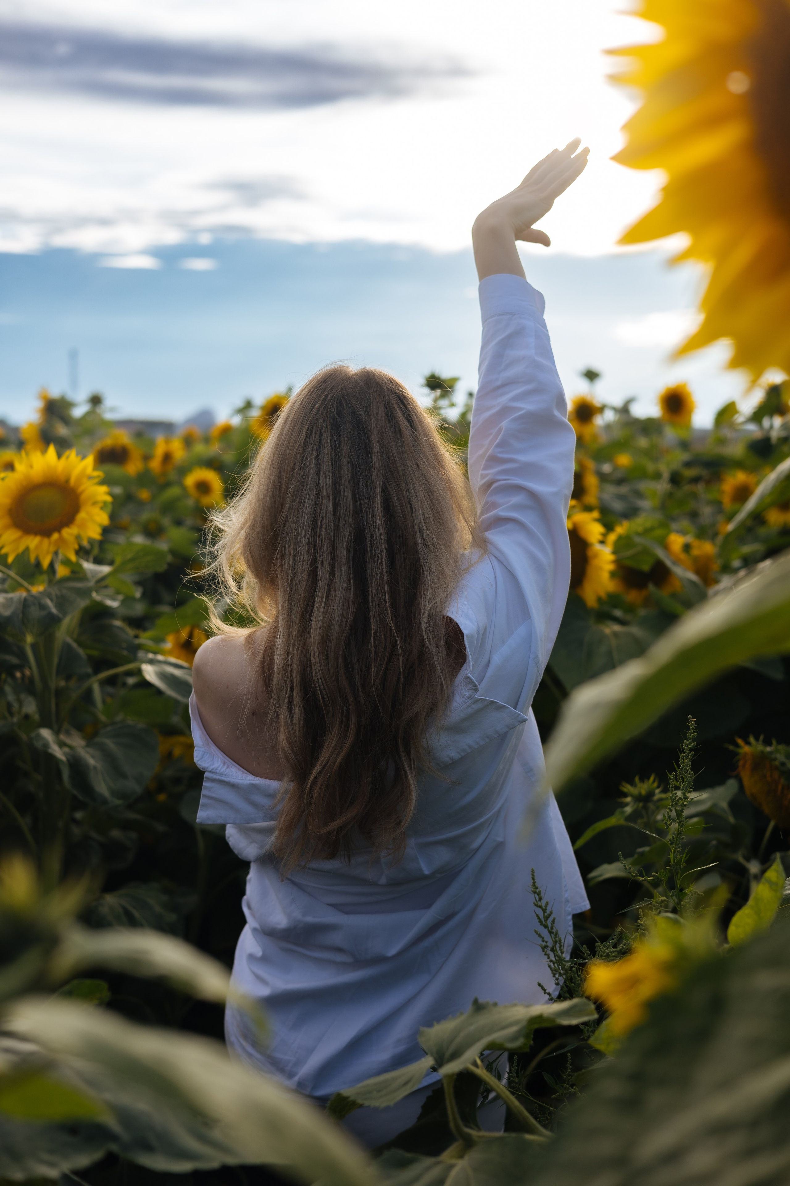 ПОДСОЛНУХИ 2025. Фотограф Красноярск съемки лавстори, фотосессия в студии, портретная съемка, творческие фотосессии