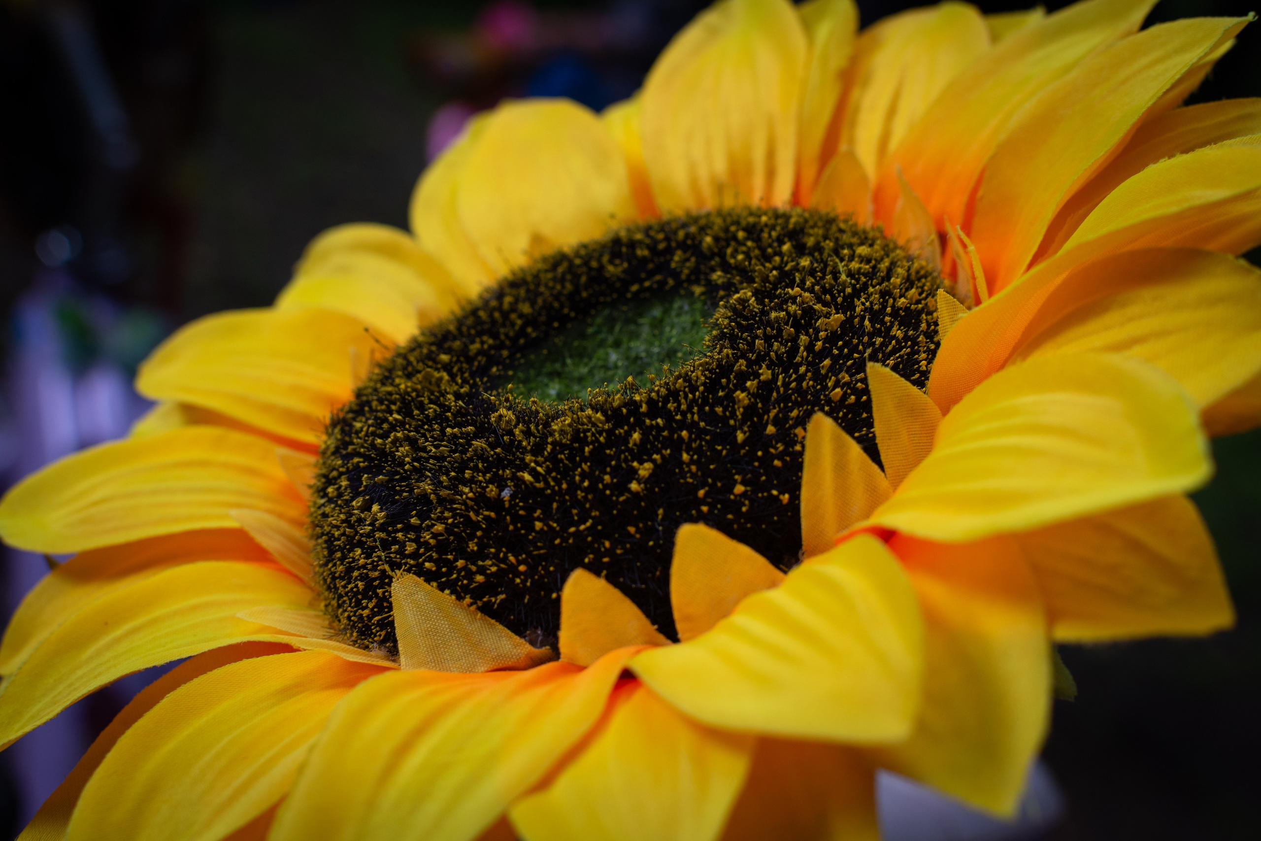 «Леди на велосипеде» — велопробег по г. Жуковскому 2025. Репортажный фотограф Сыбер Мартти