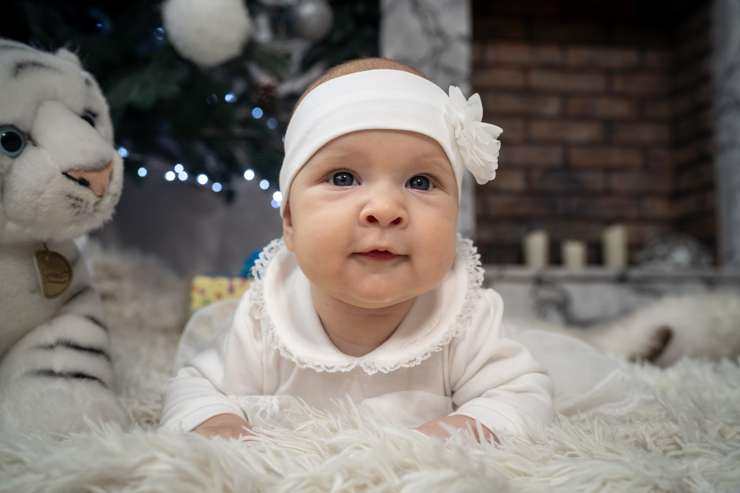 С самоедской лайкой. Фотограф Зинаида Евдокимова