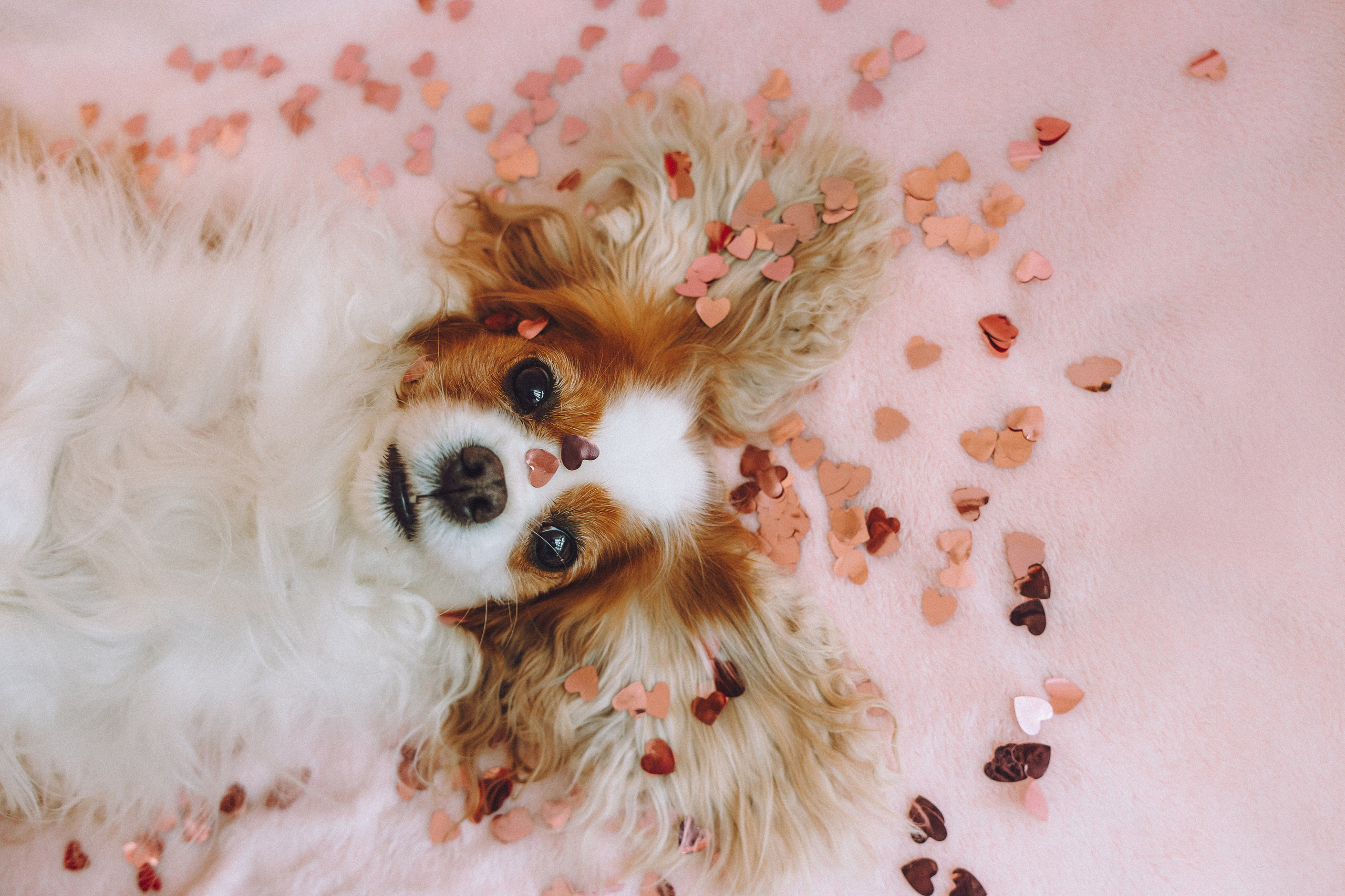 Наташа и Вики